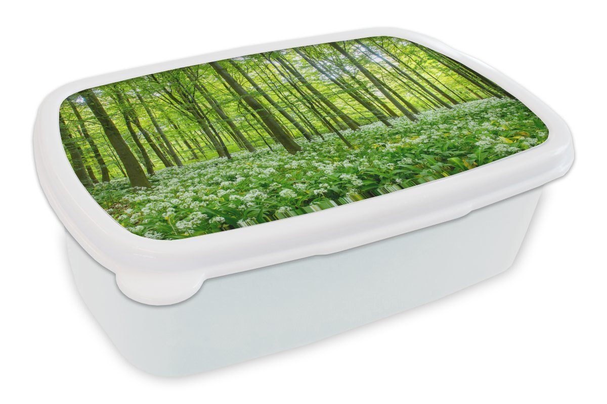 MuchoWow Lunchbox Wald - Bäume - Grün, Kunststoff, (2-tlg), Brotbox für Kinder und Erwachsene, Brotdose, für Jungs und Mädchen weiß
