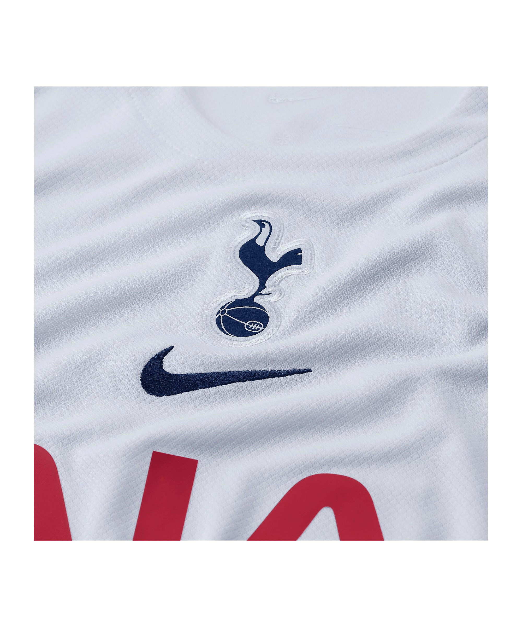 Nike Fußballtrikot Nike Performance Premier League