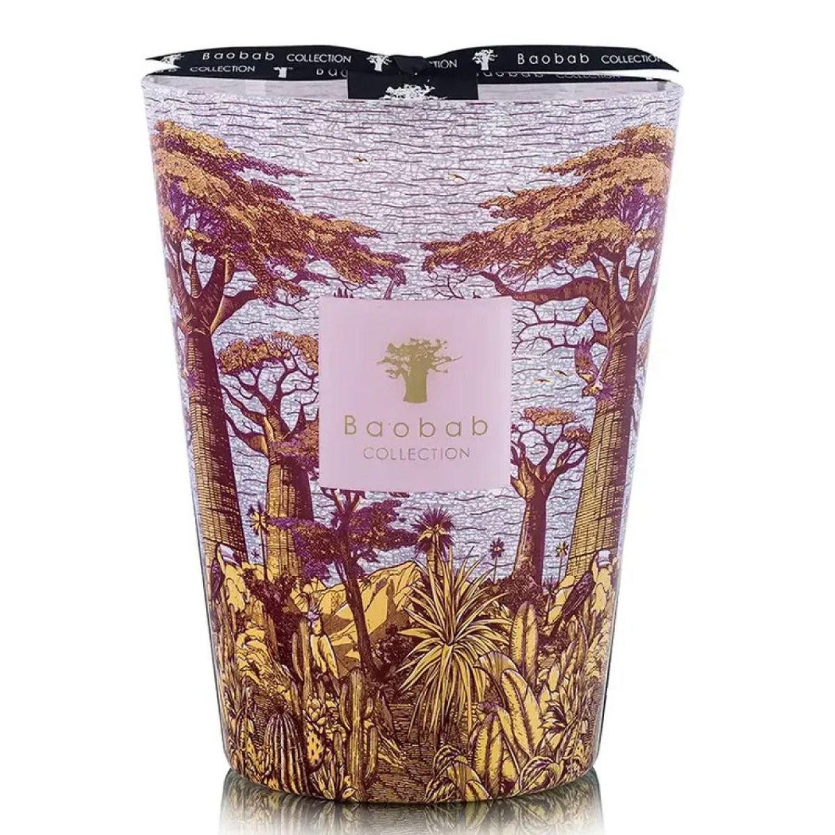 Baobab Duftkerze Duftkerze Sacred Trees Massasso Max 24 (3kg)