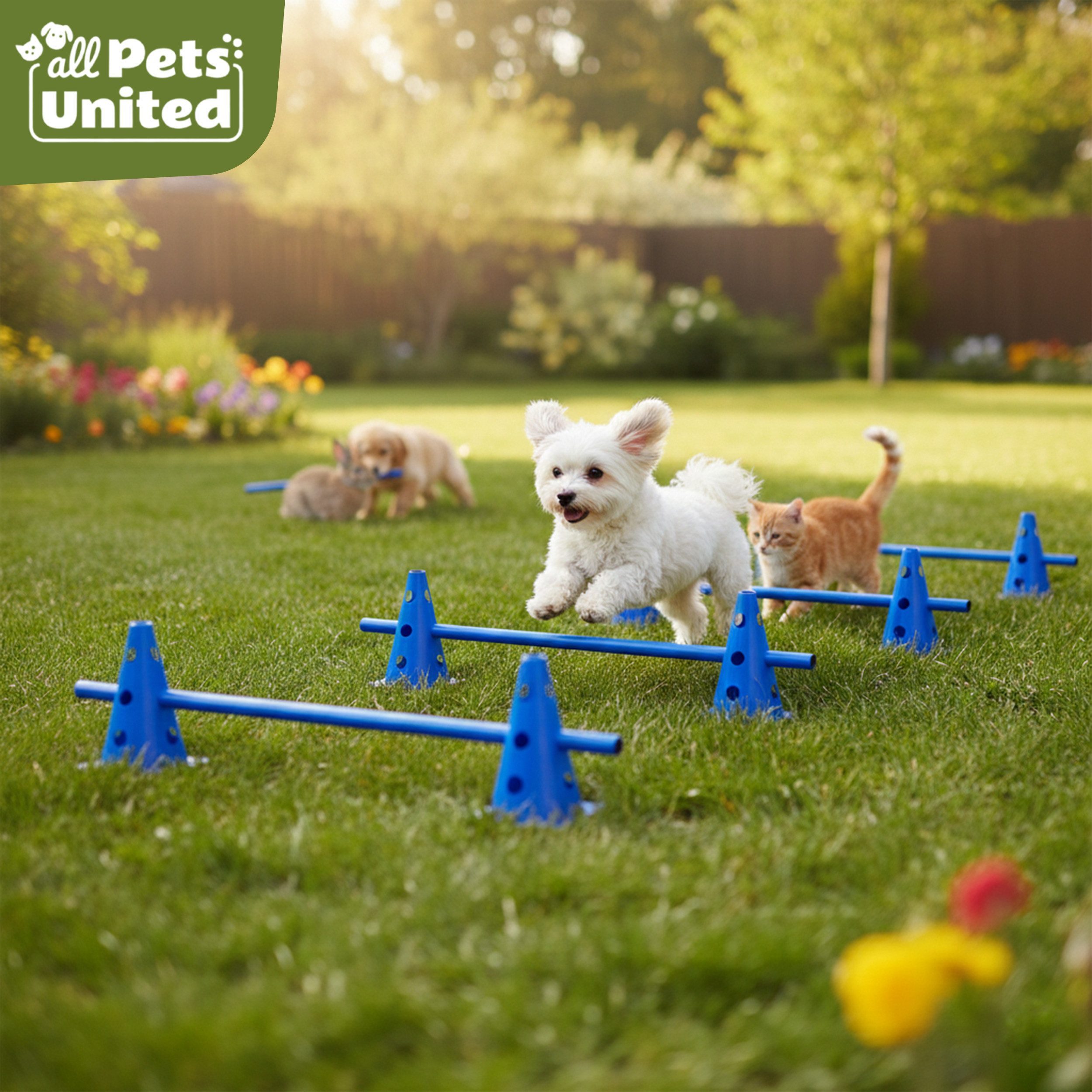 all Pets United Trainingshilfe All Pets United Trainingsset Hund & Kinder, Hunde Sport & Lernhilfe