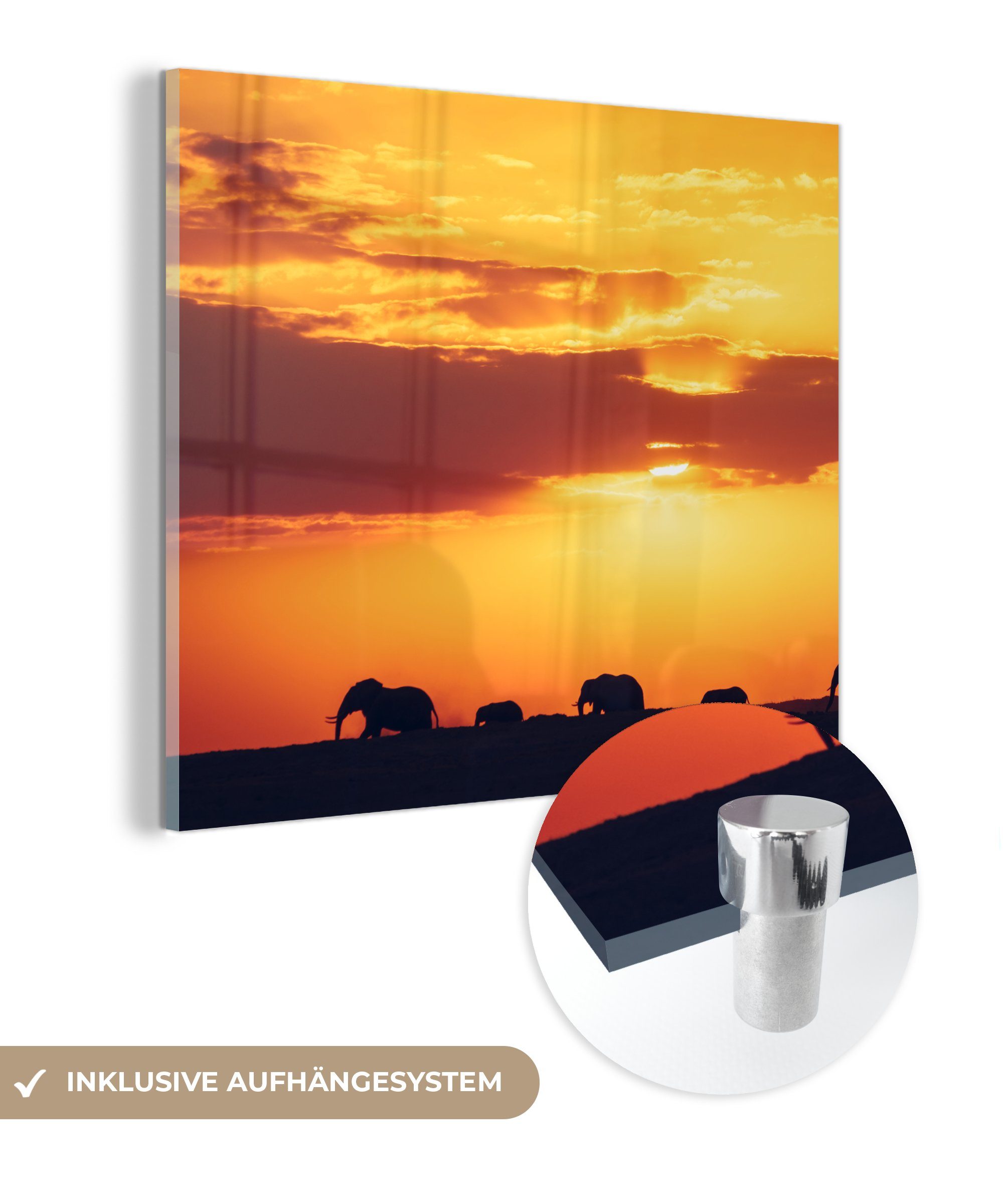 Acrylglasbild MuchoWow Horizont Glas Elefanten Sonnenuntergang - - (1 auf Tiere, - St), - Bilder - Wandbild Glasbilder Foto Glas - Wanddekoration auf