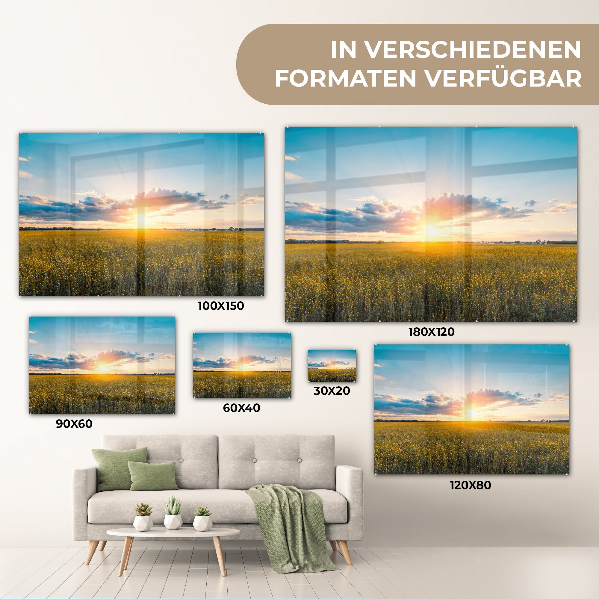 Acrylglasbilder Wohnzimmer Sonnenuntergang, St), Rapsfeld & Acrylglasbild Schlafzimmer bei MuchoWow (1