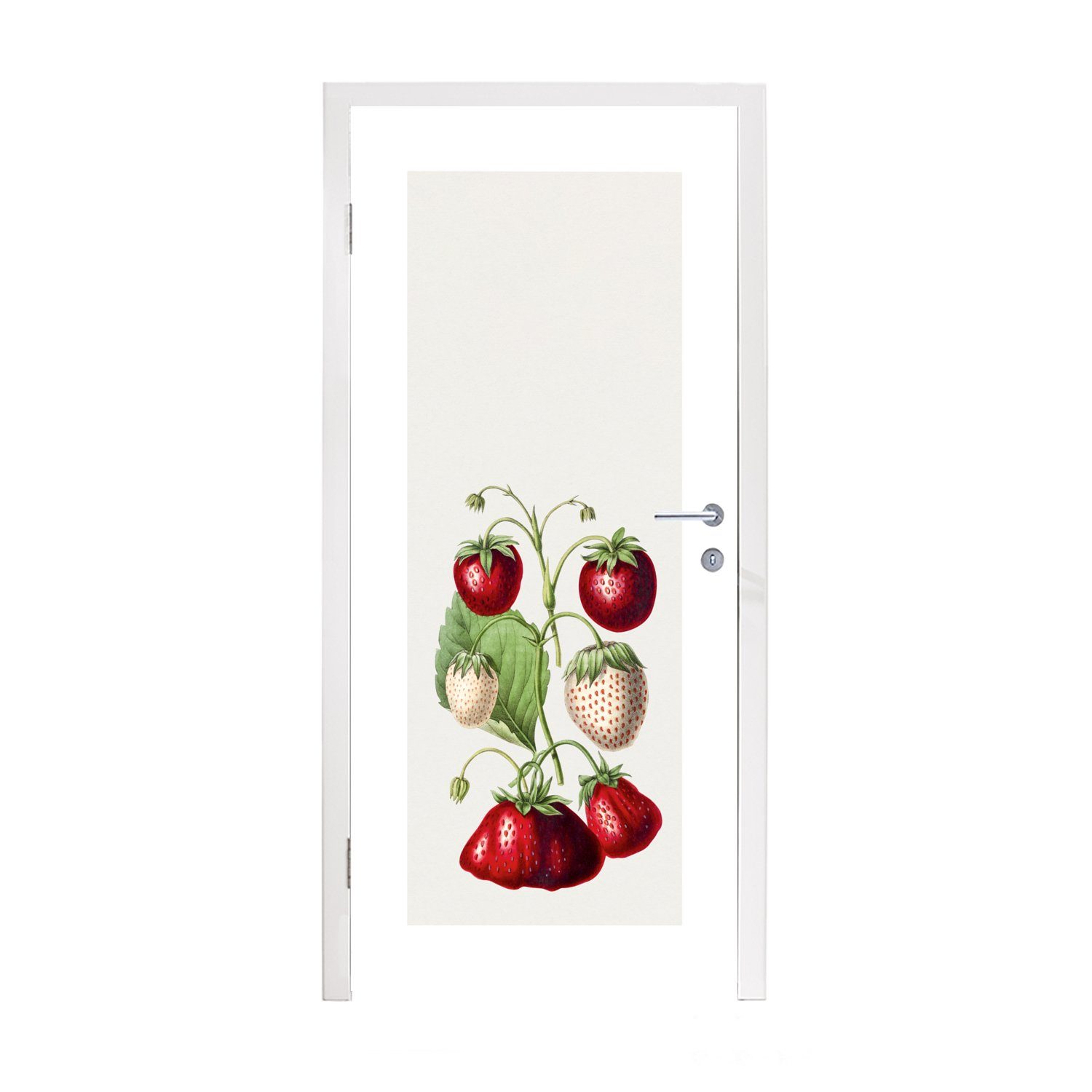 MuchoWow Türtapete Lebensmittel - Erdbeeren - Pflanze, Matt, bedruckt, (1 St), Fototapete für Tür, Türaufkleber, 75x205 cm