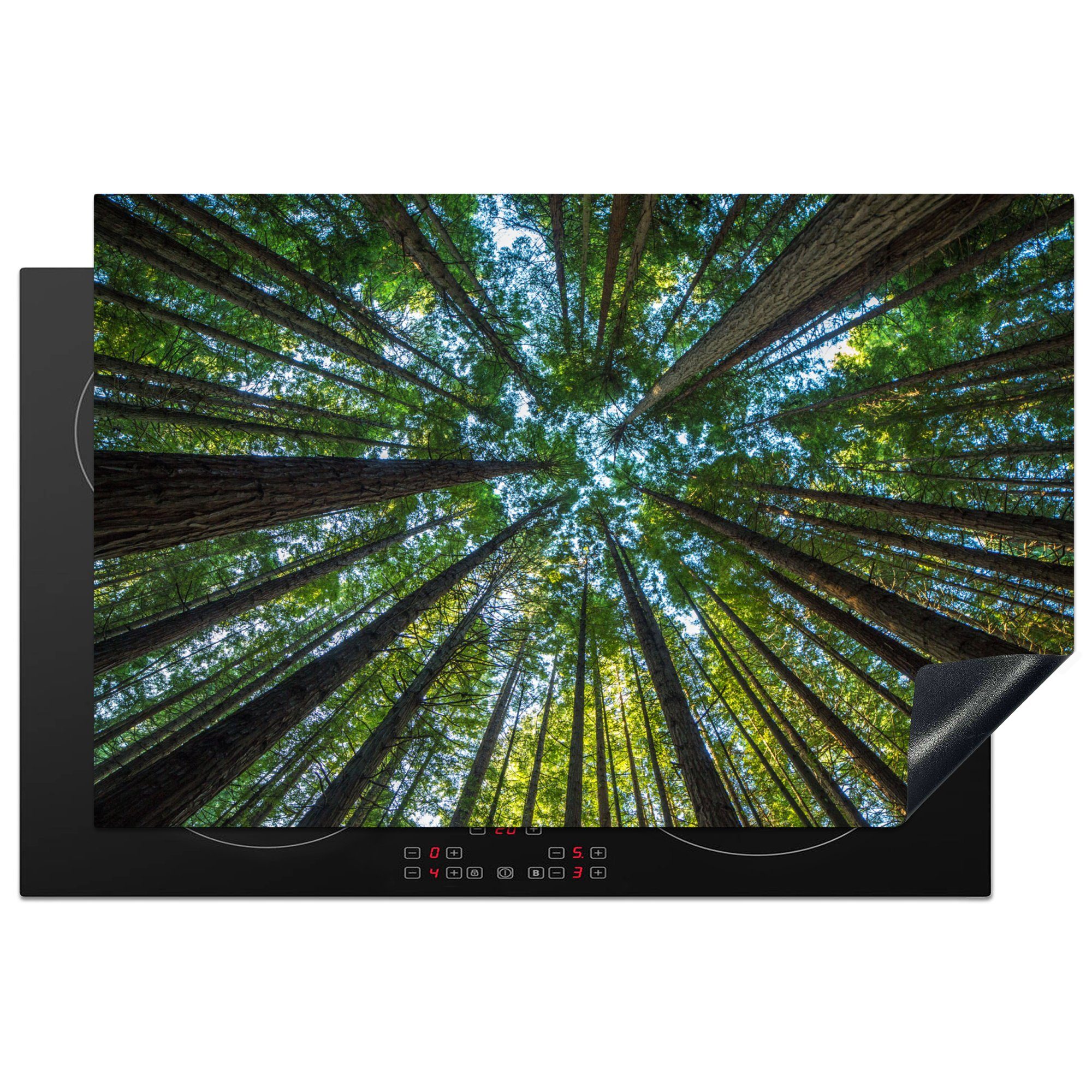 MuchoWow Herdblende-/Abdeckplatte Wald - Laub - Bäume, Vinyl, (1 tlg), 81x52 cm, Induktionskochfeld Schutz für die küche, Ceranfeldabdeckung