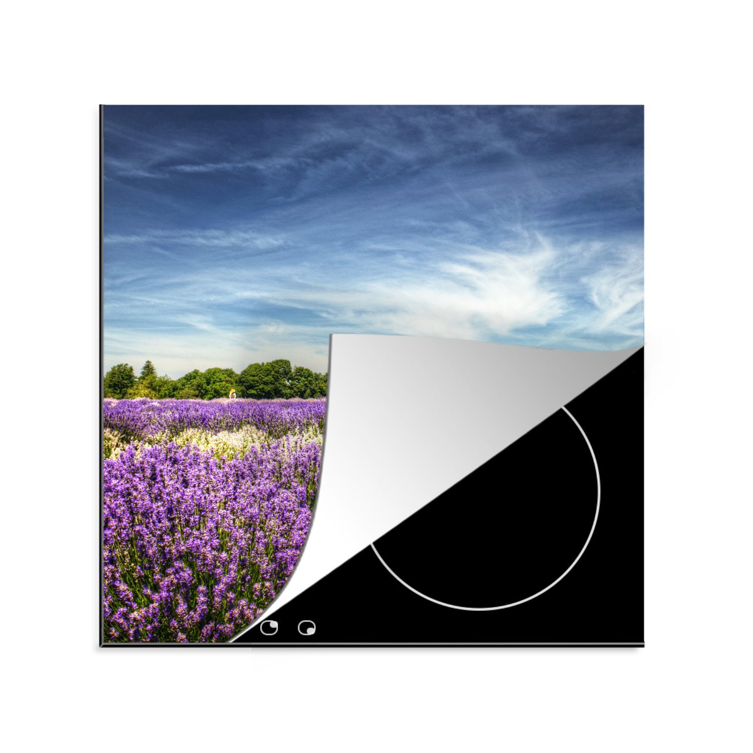 MuchoWow Herdblende-/Abdeckplatte Blauer Himmel über Lavendel in der Natur, Vinyl, (1 tlg), 78x78 cm, Ceranfeldabdeckung, Arbeitsplatte für küche