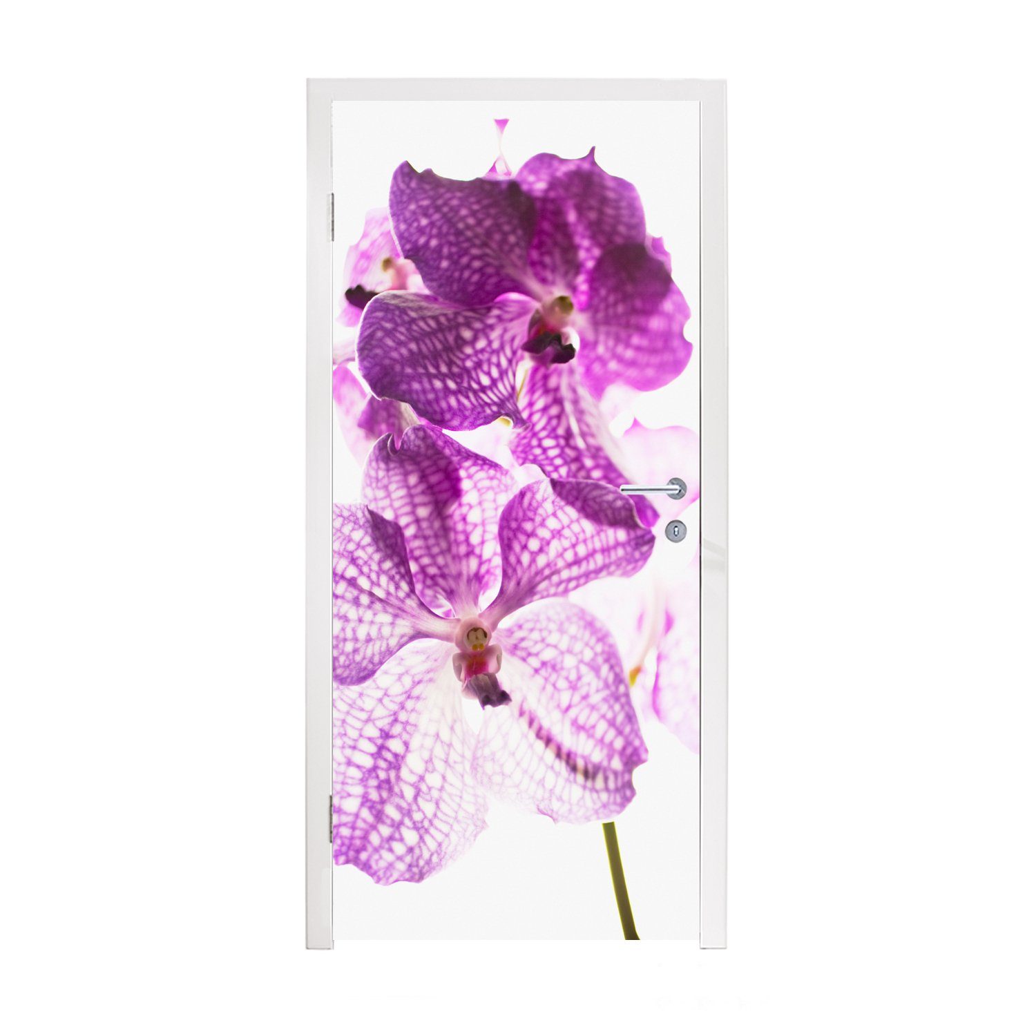 MuchoWow Türtapete Lila Orchideen, Matt, bedruckt, (1 St), Fototapete für Tür, Türaufkleber, 75x205 cm