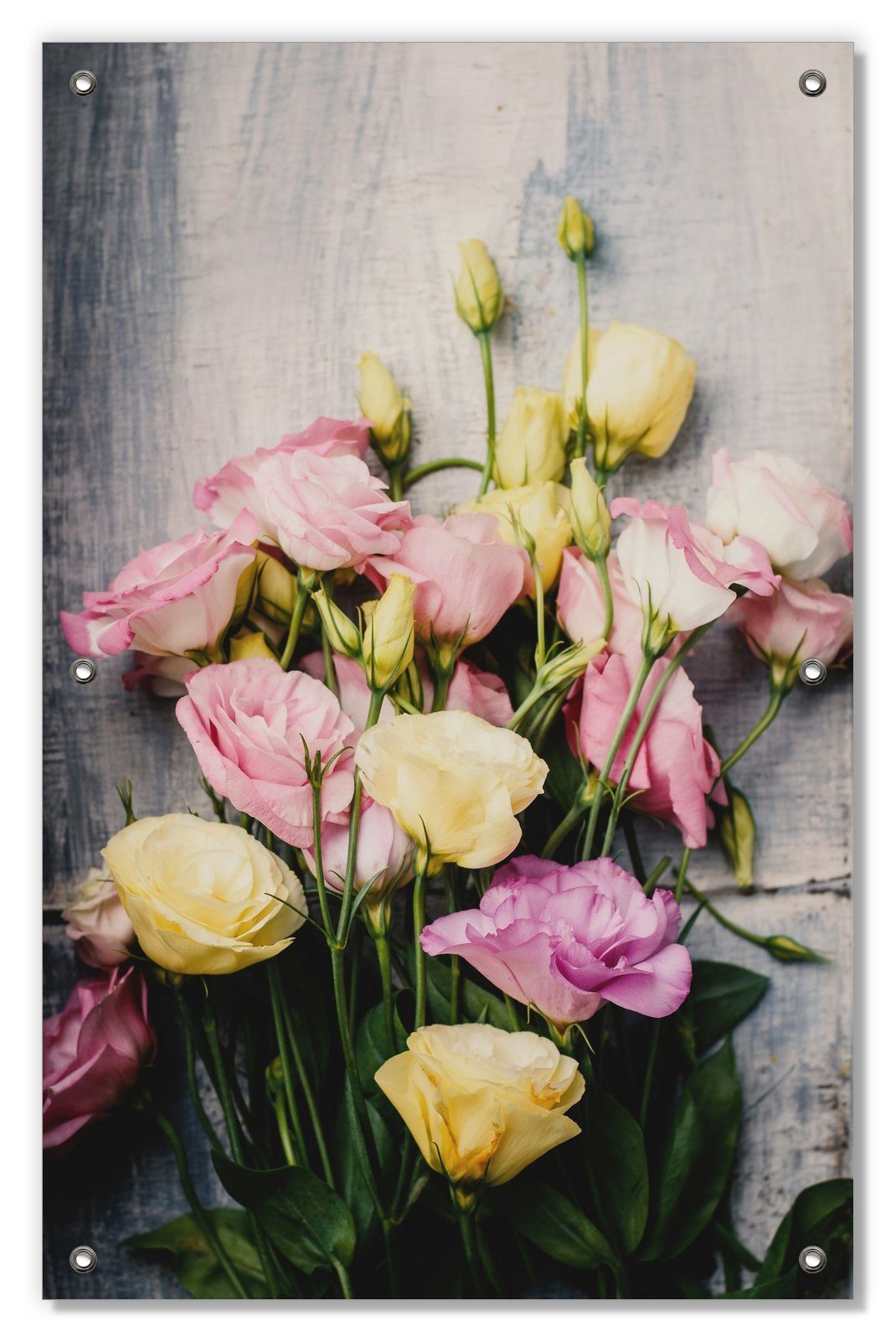 blickdicht, und und Sonnenschutz Rosen, Gelbe wiederverwendbar wiederablösbar Wallario, mit rosane Saugnäpfen,