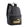 PUMA Black-Golden Logo