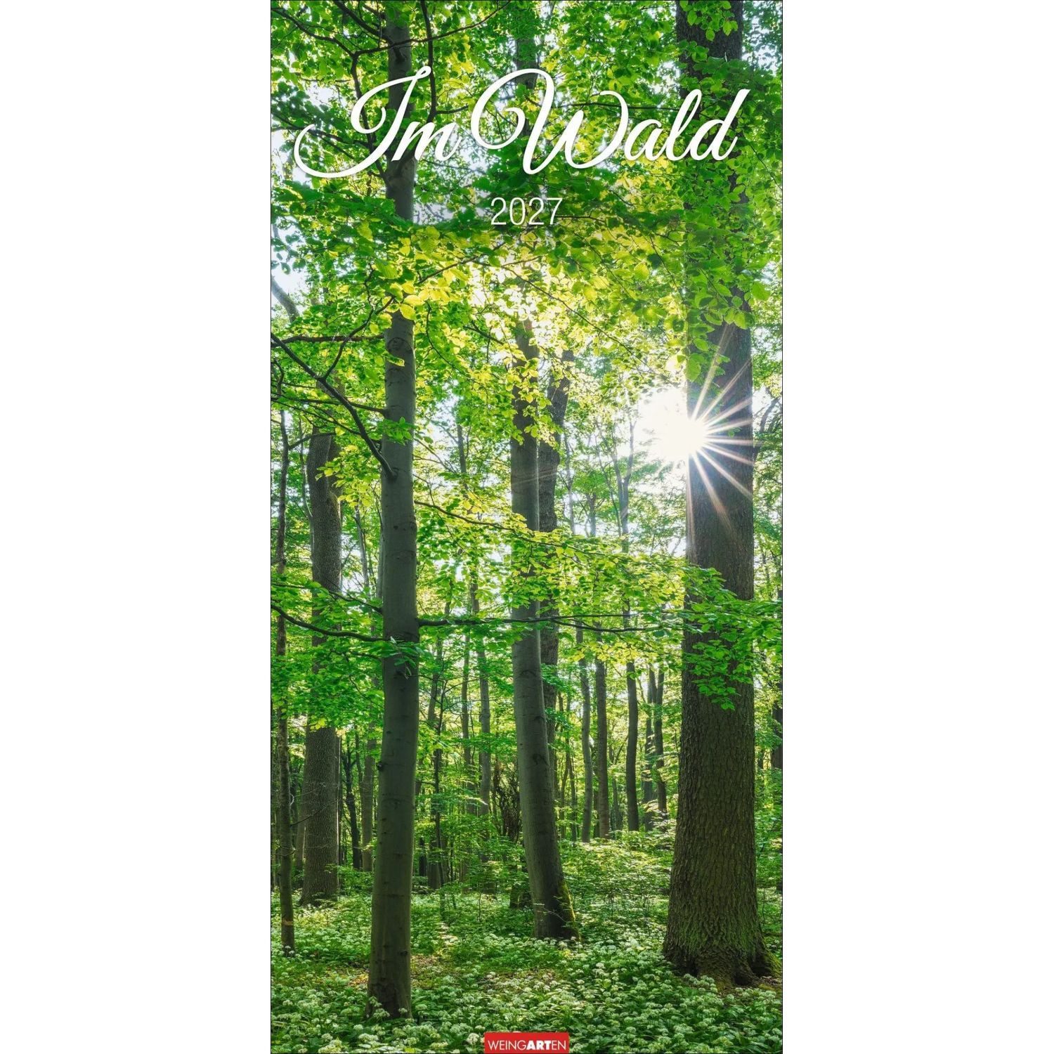 Wandkalender Im Wald Kalender 2027