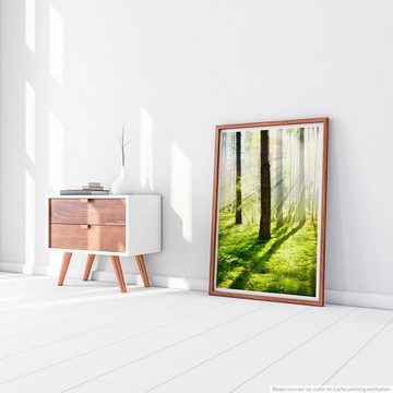 Sinus Art Poster 90x60cm Poster Wald mit Sonnenstrahlen