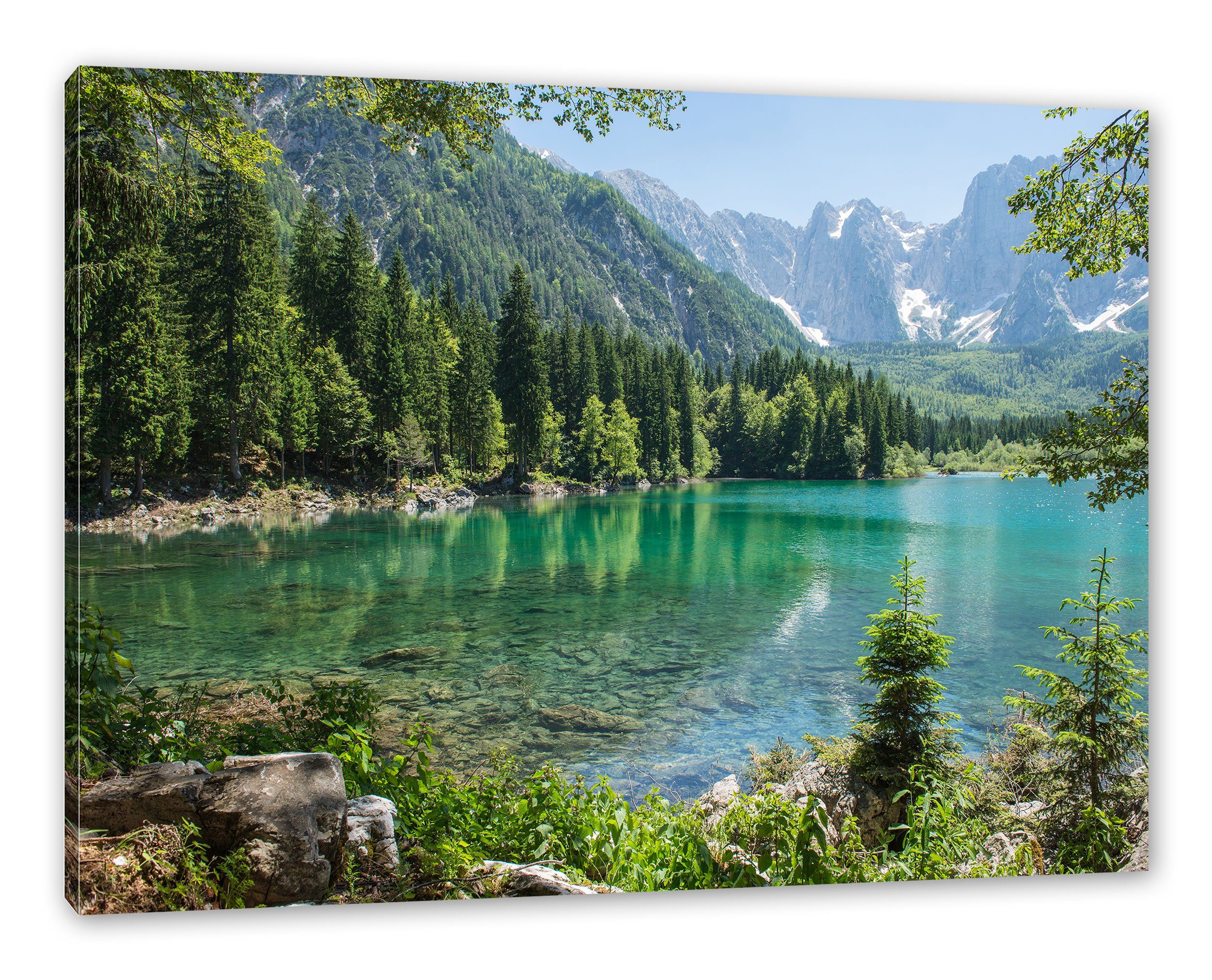 Pixxprint Leinwandbild Wunderschöner See im Wald, günstig online kaufen