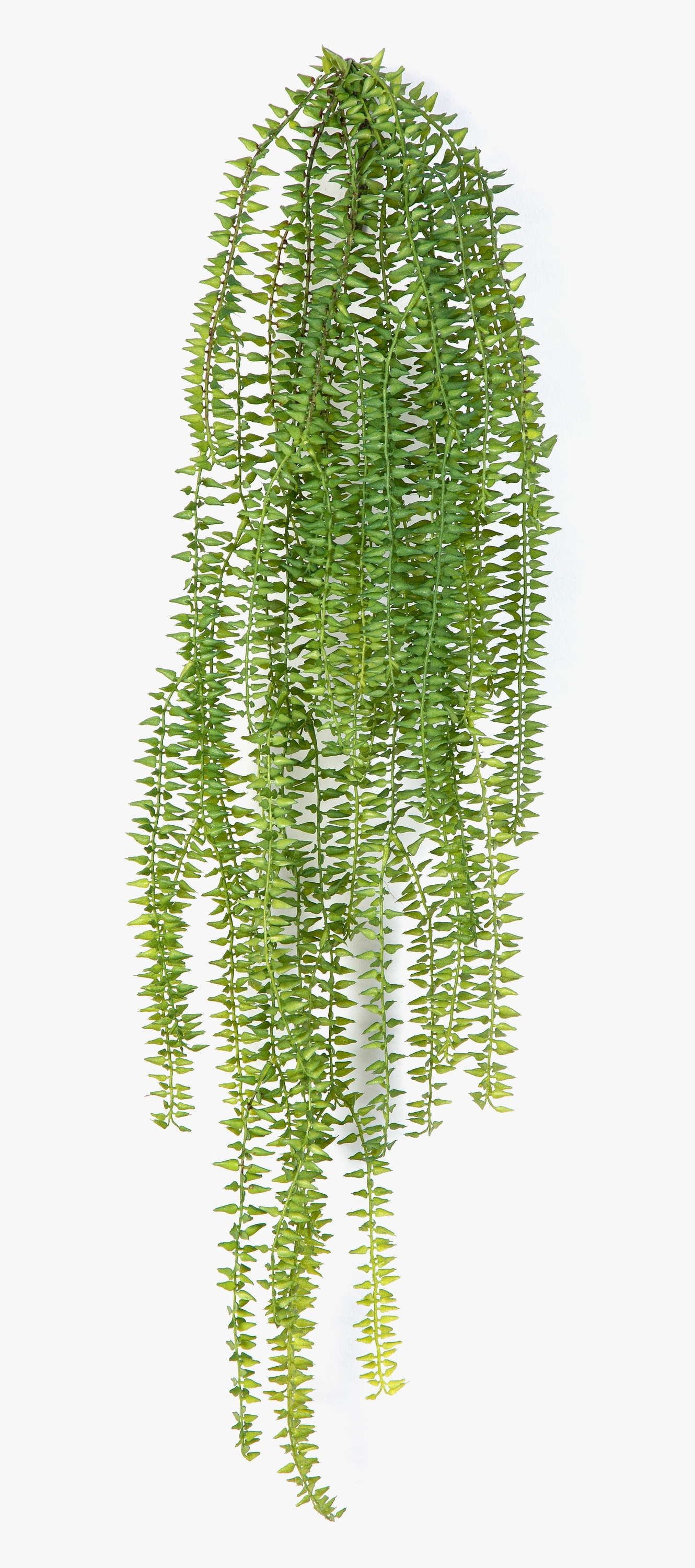 Künstliche Zimmerpflanze Deko Frauenhaarfarn Hänger GIEDI auf Steckstab, grün, 70cm Farn (Frauenhaarfarn), artplants, Höhe 70.0 cm