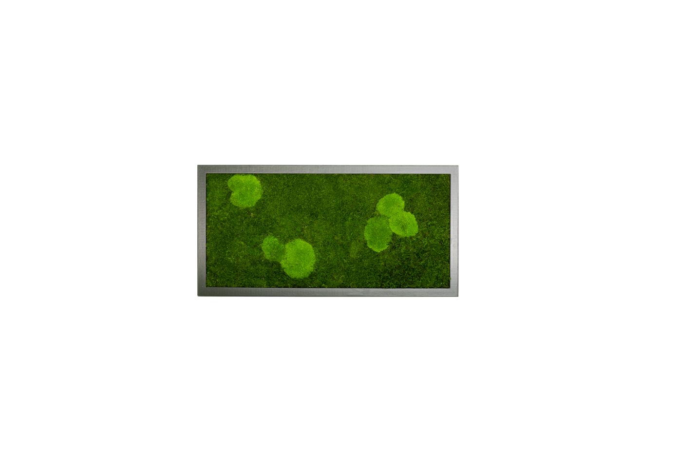 Moos-Design Bilderrahmen Moos Bild Forest Design günstig online kaufen