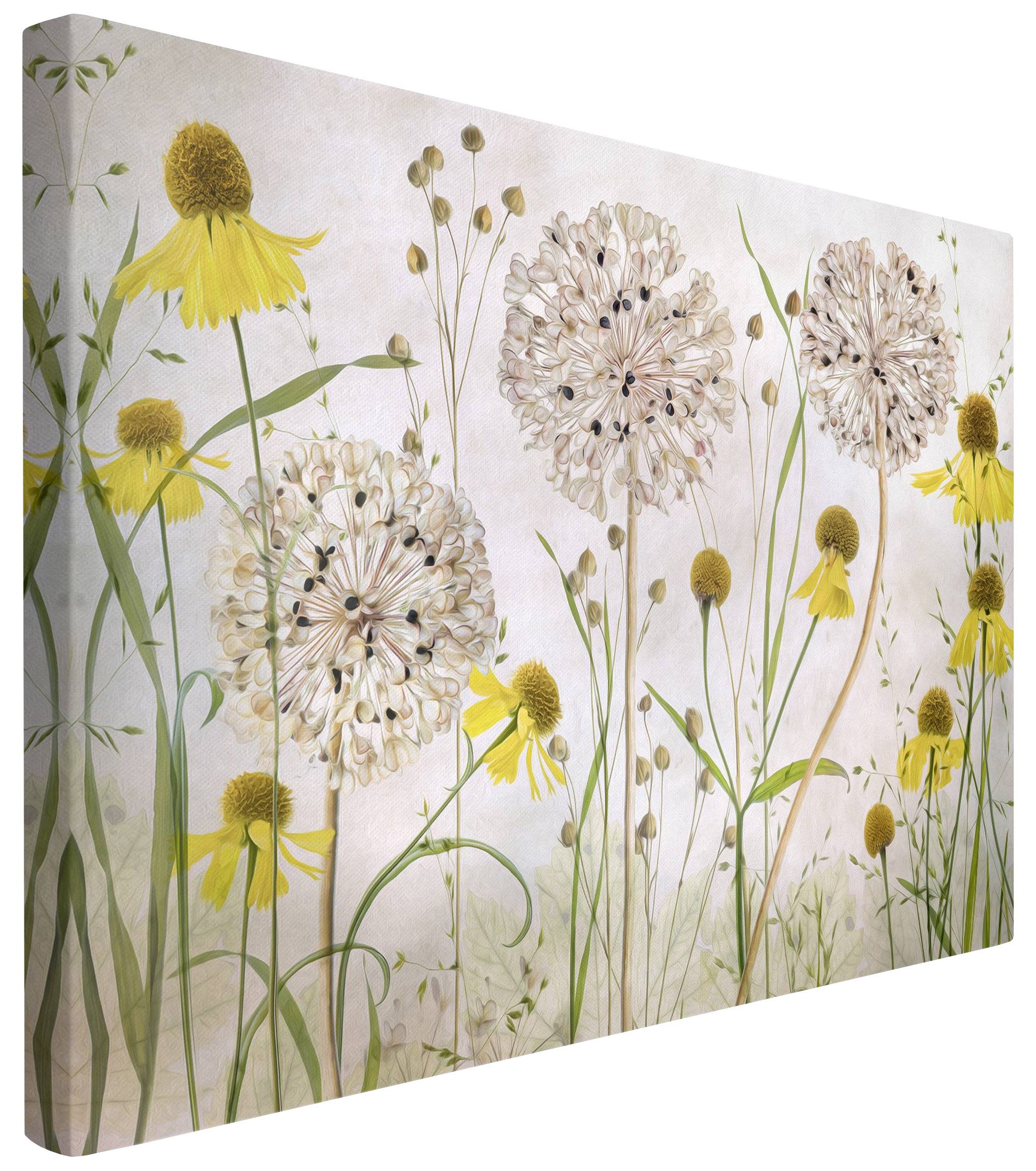 Leinwandbild Vintage Retro Modern Allium Helenium beige Bild auf Leinwand Groß XXL