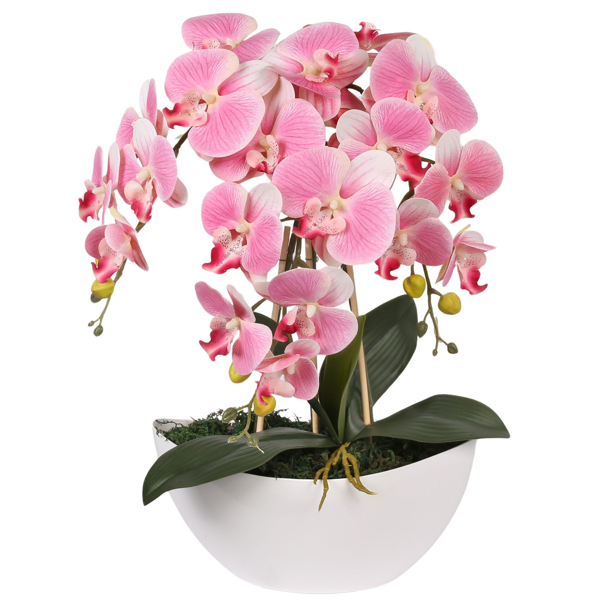 Kunstblume Künstliche Orchidee im Topf, leuchtend günstig online kaufen