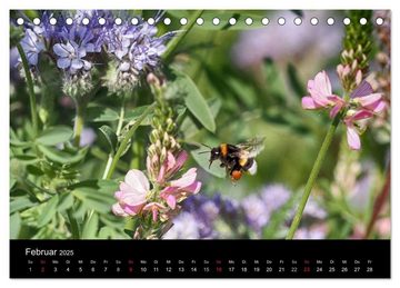 CALVENDO Wandkalender Hummelflug (Tischkalender 2025 DIN A5 quer), CALVENDO Monatskalender