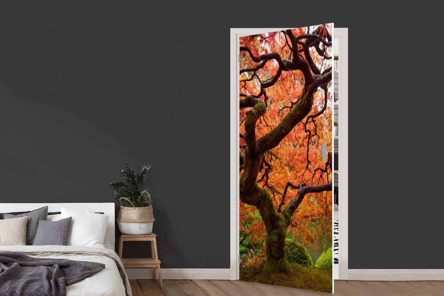 Tür, Ahorns, (1 cm Matt, Türaufkleber, 75x205 bedruckt, St), MuchoWow japanischen Türtapete Bild Fototapete für eines