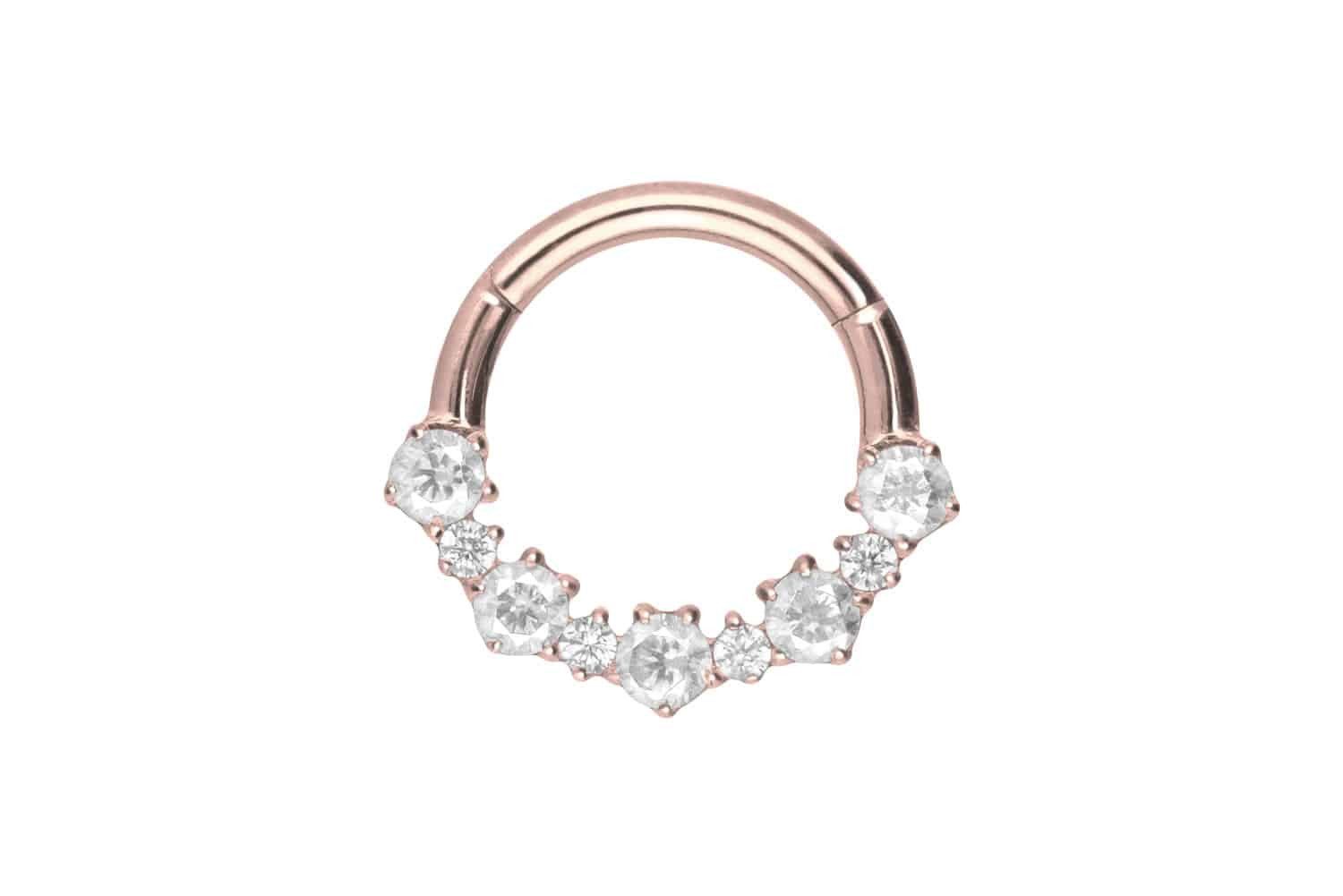 Nasenpiercing Titan Segmentring Clicker EINGEFASSTE KRISTALLE Ohrpiercing Septum