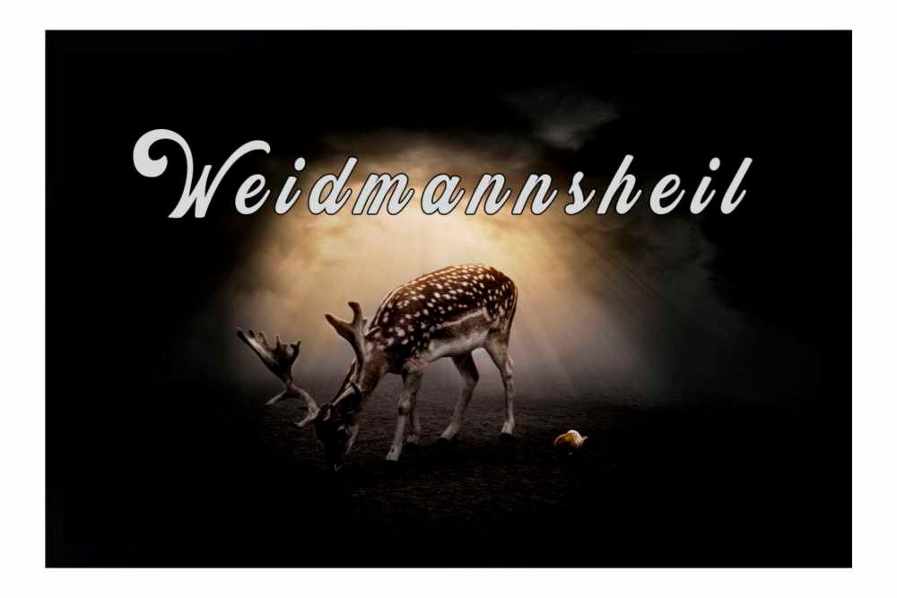 Ladreas Fußmatte Schmutzfangmatte Weidmannsheil Jagd Jäger Wild F231, 60x40