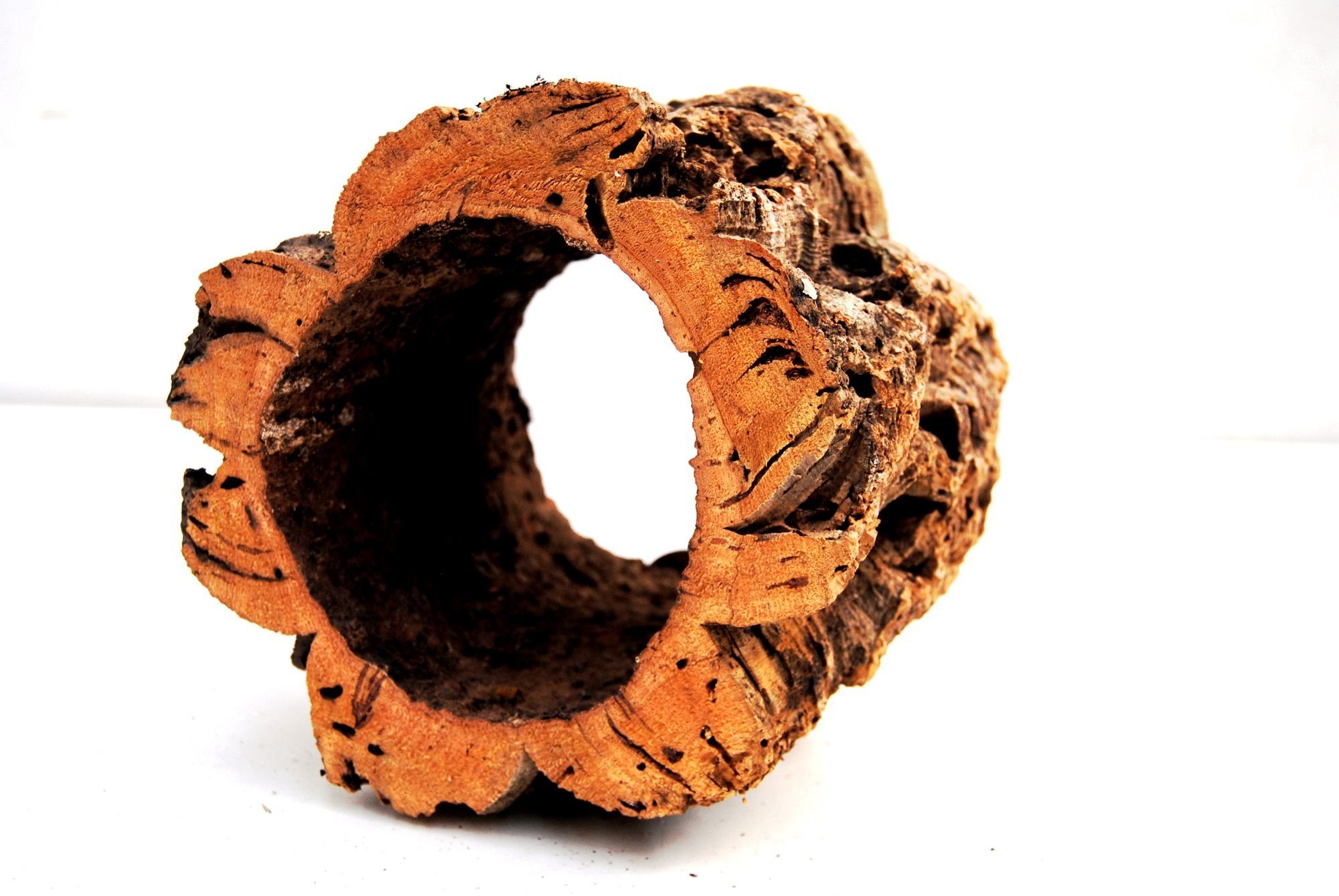 Ollesch Vogelspielplatz Naturprodukt Ringa Unterschlupf als Schlaf-und Futterplatz für Kleintiere