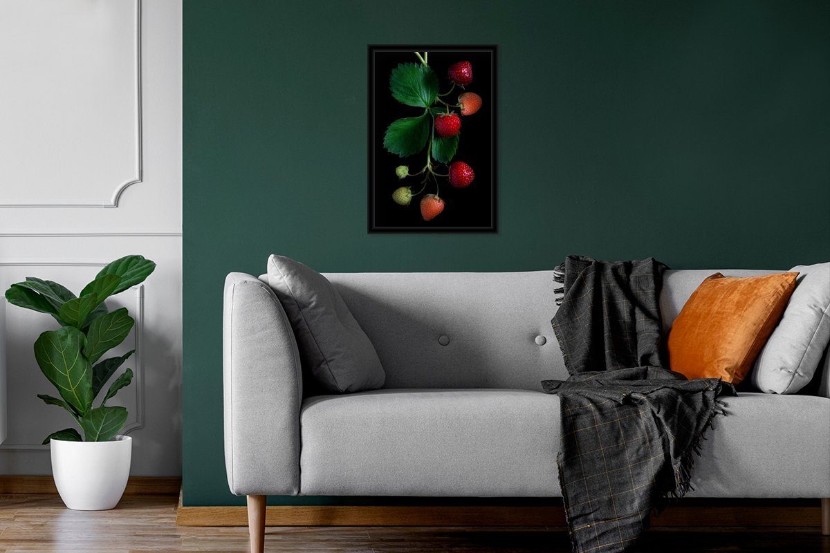 Bilderrahmen Wandposter, St), Hintergrund, Gerahmtes Bilder, (1 Wanddeko, Poster, Poster MuchoWow Eine Schwarzem Erdbeerpflanze auf schwarzem