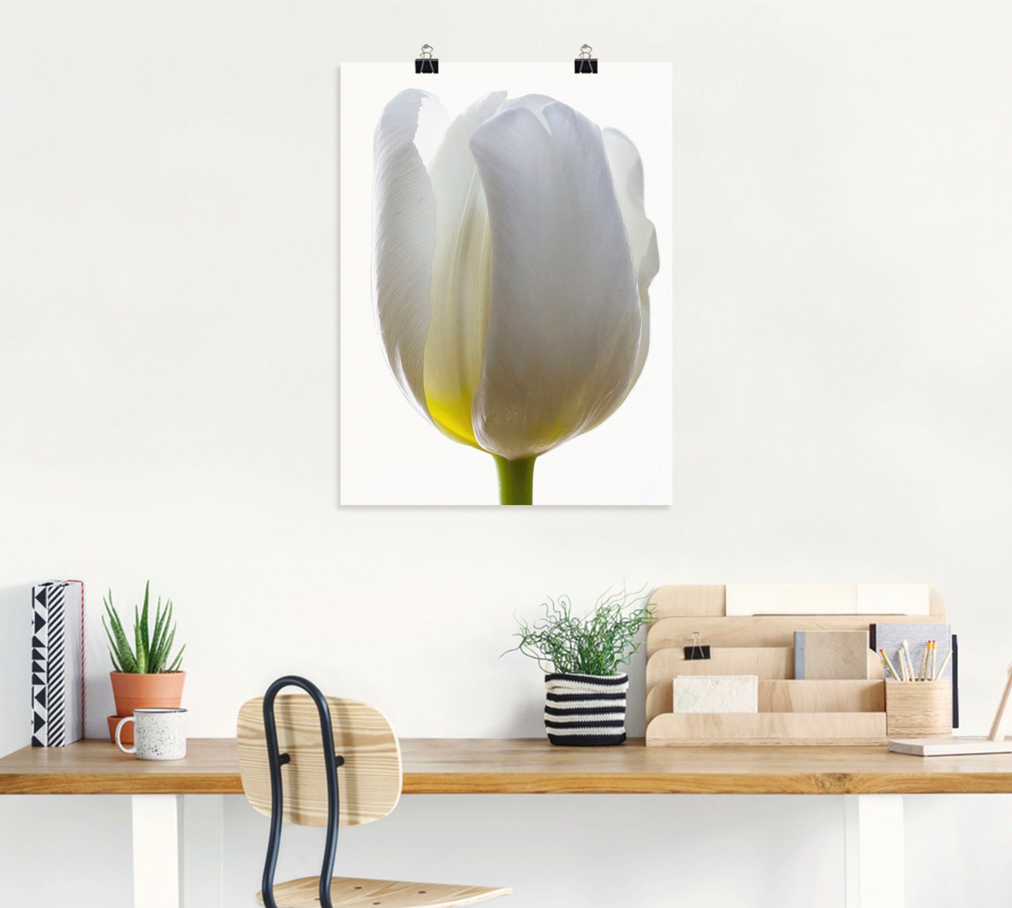 Poster Leinwandbild, Tulpe, Alubild, (1 versch. Wandbild Artland als Blumen in Weiße St), Größen Wandaufkleber oder