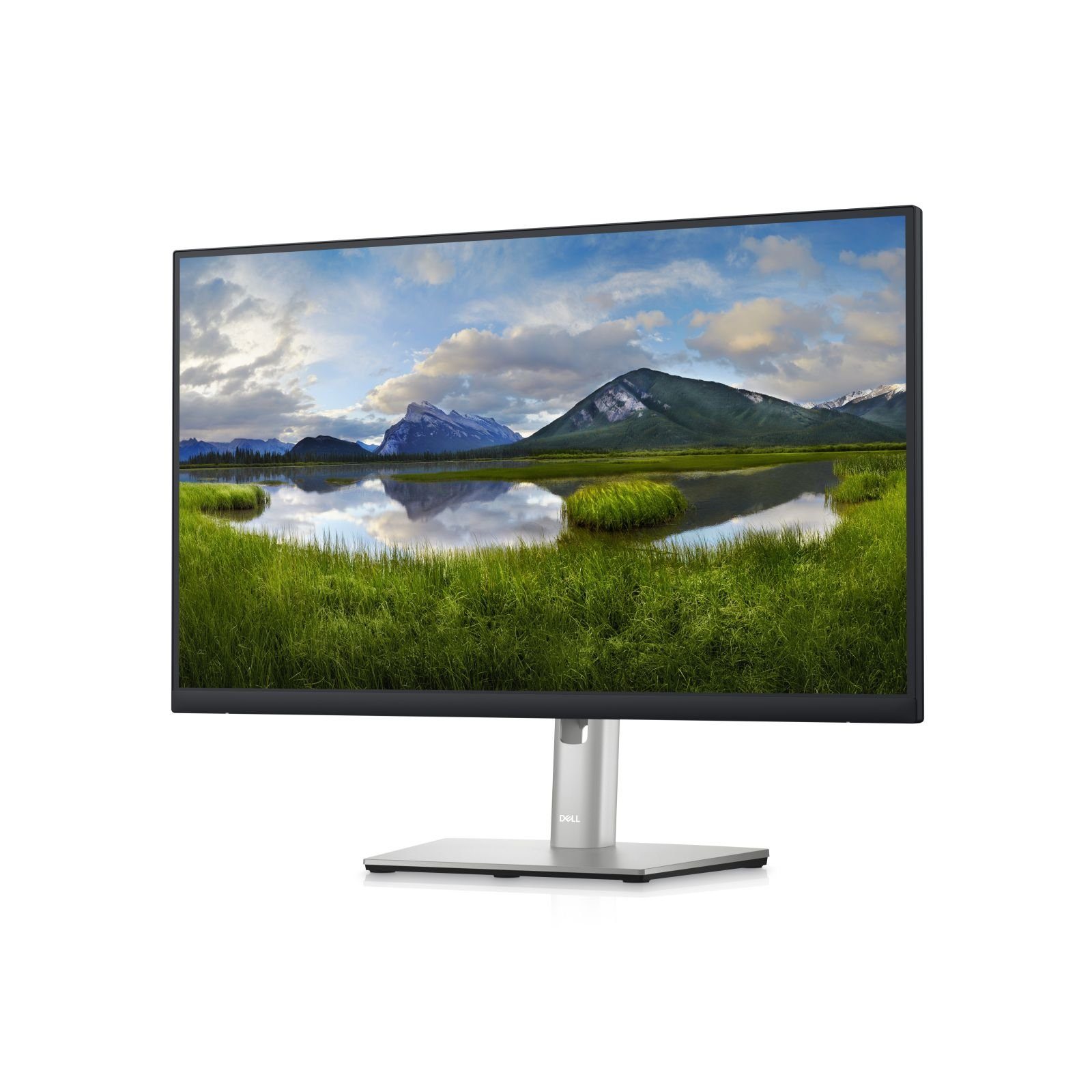 Dell TFT P2423DE 23.8IN QHD TFT-Monitor (2560 x 1440 px, Quad HD, 5 ms Reaktionszeit, 60 Hz, IPS, HDCP, Pivot, Höhenverstellbar)
