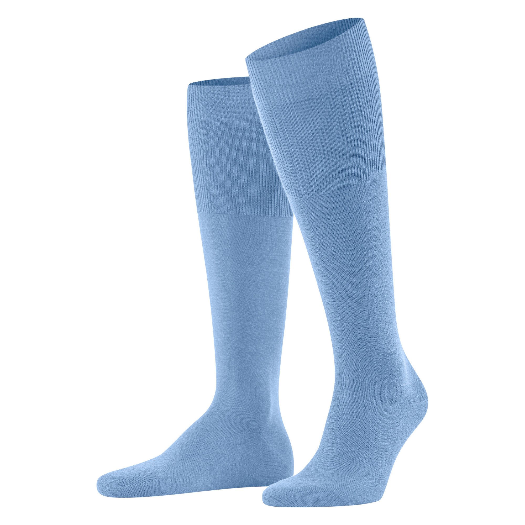 cornflower blue (6554)