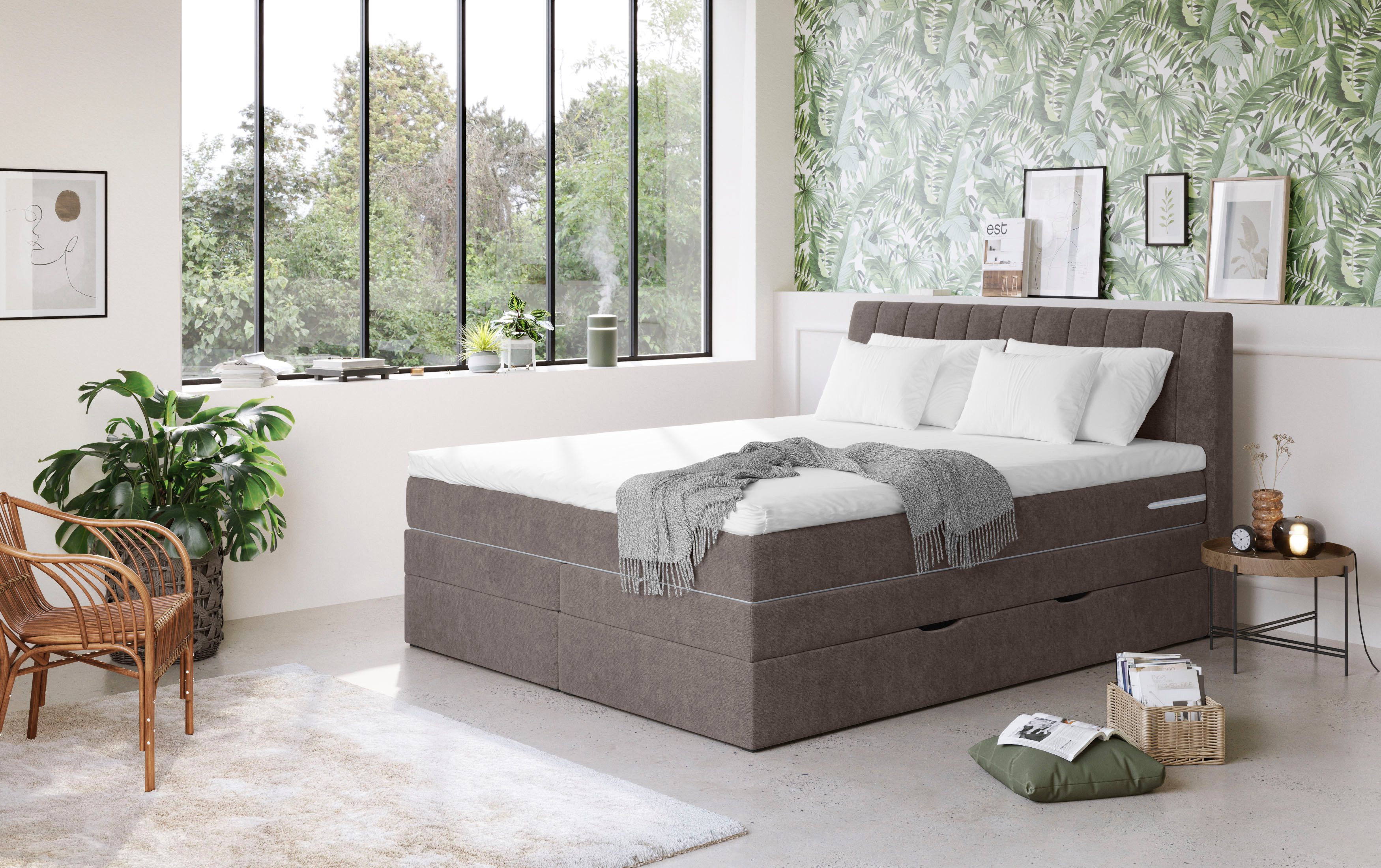 COTTA Boxspringbett Shark inkl. Bettkasten und Topper, erhältlich in den Br günstig online kaufen