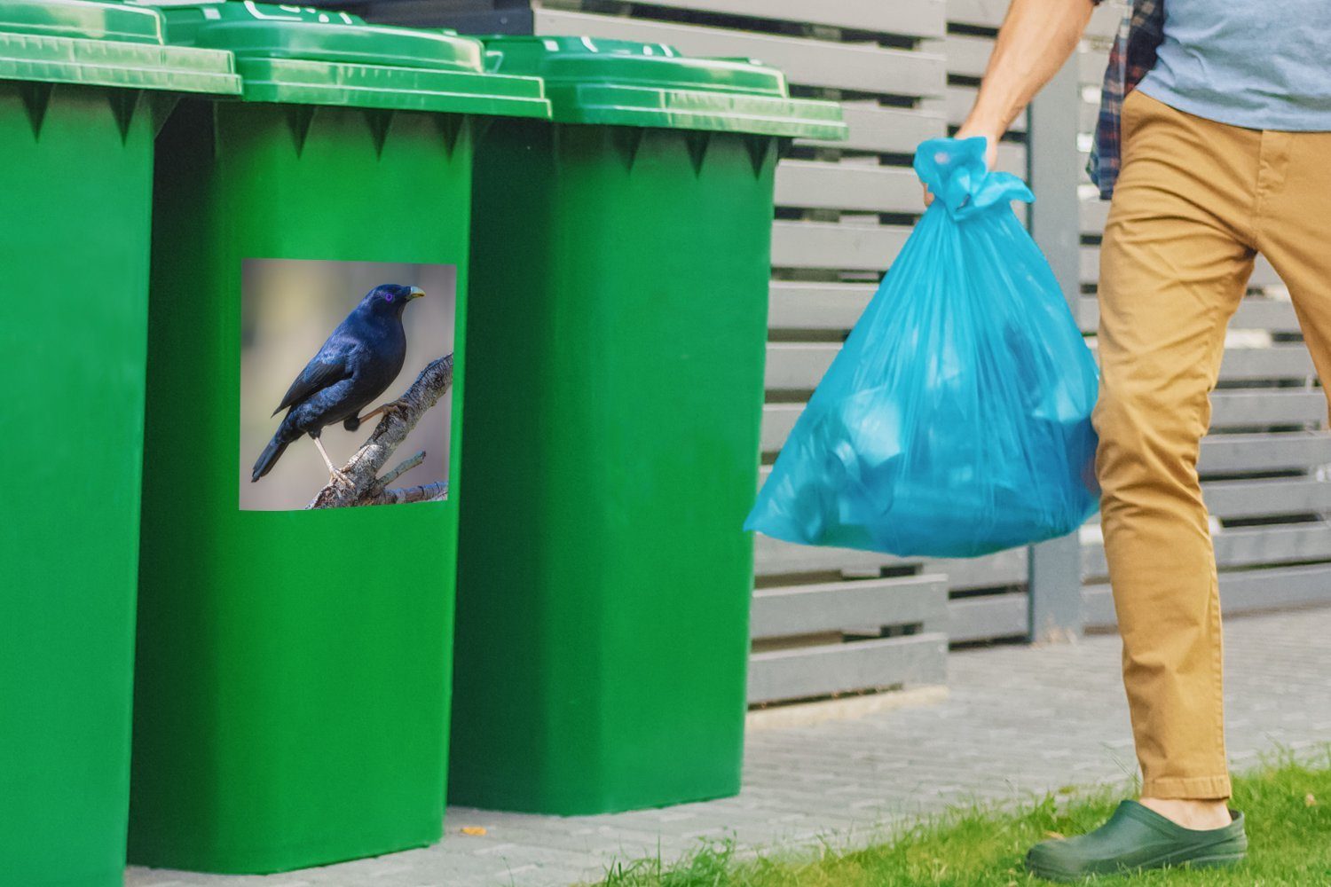 St), Abfalbehälter Laubenvogel (1 Wandsticker Sticker, Container, Zweig Mülleimer-aufkleber, einem Blauer auf Mülltonne, MuchoWow