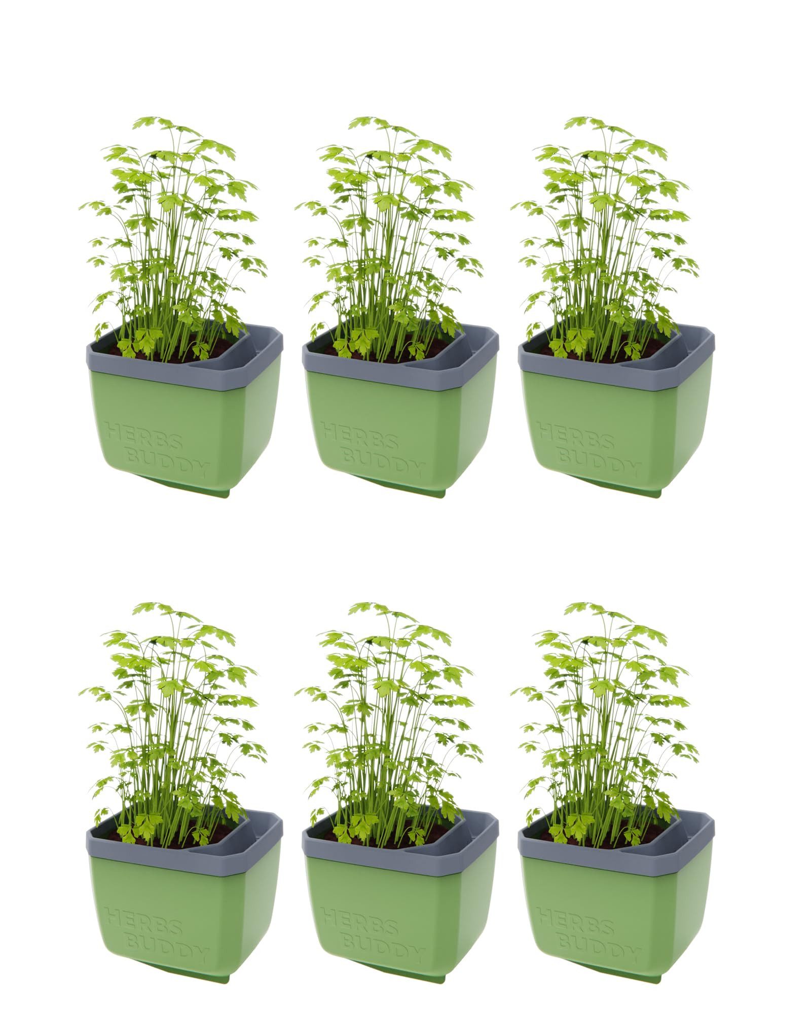 Gusta Garden Kräutertopf KRÄUTERFREUND (6er Set, günstig online kaufen