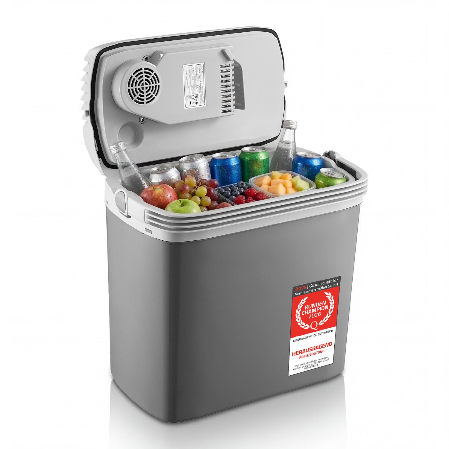 TZS FIRST AUSTRIA Elektrische Kühlbox 16L, Kühlbox, 12V /230V Anschluss, 12-V-Stecker fürs Auto, für Camping, Festivals, Reisen, mit Kühl- und Warmhaltefunktion
