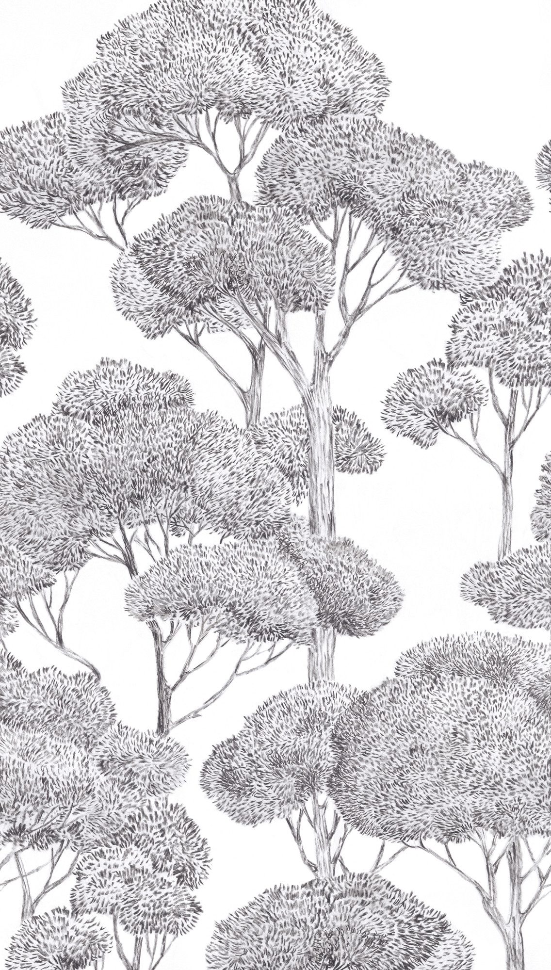living walls Vliestapete Vibes & Styles Silvanor – Forest Sketch Fototapete, leicht strukturiert, Comic, (1 St), Stilisierte Baumlandschaft mit feinen Linien und ruhiger Tiefenwirkung