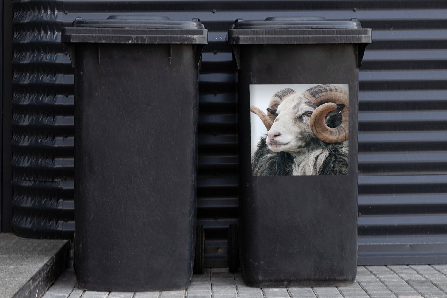 - Abfalbehälter Tiere (1 Sticker, Schafe - St), Horn Container, Mülltonne, MuchoWow Wandsticker Mülleimer-aufkleber,