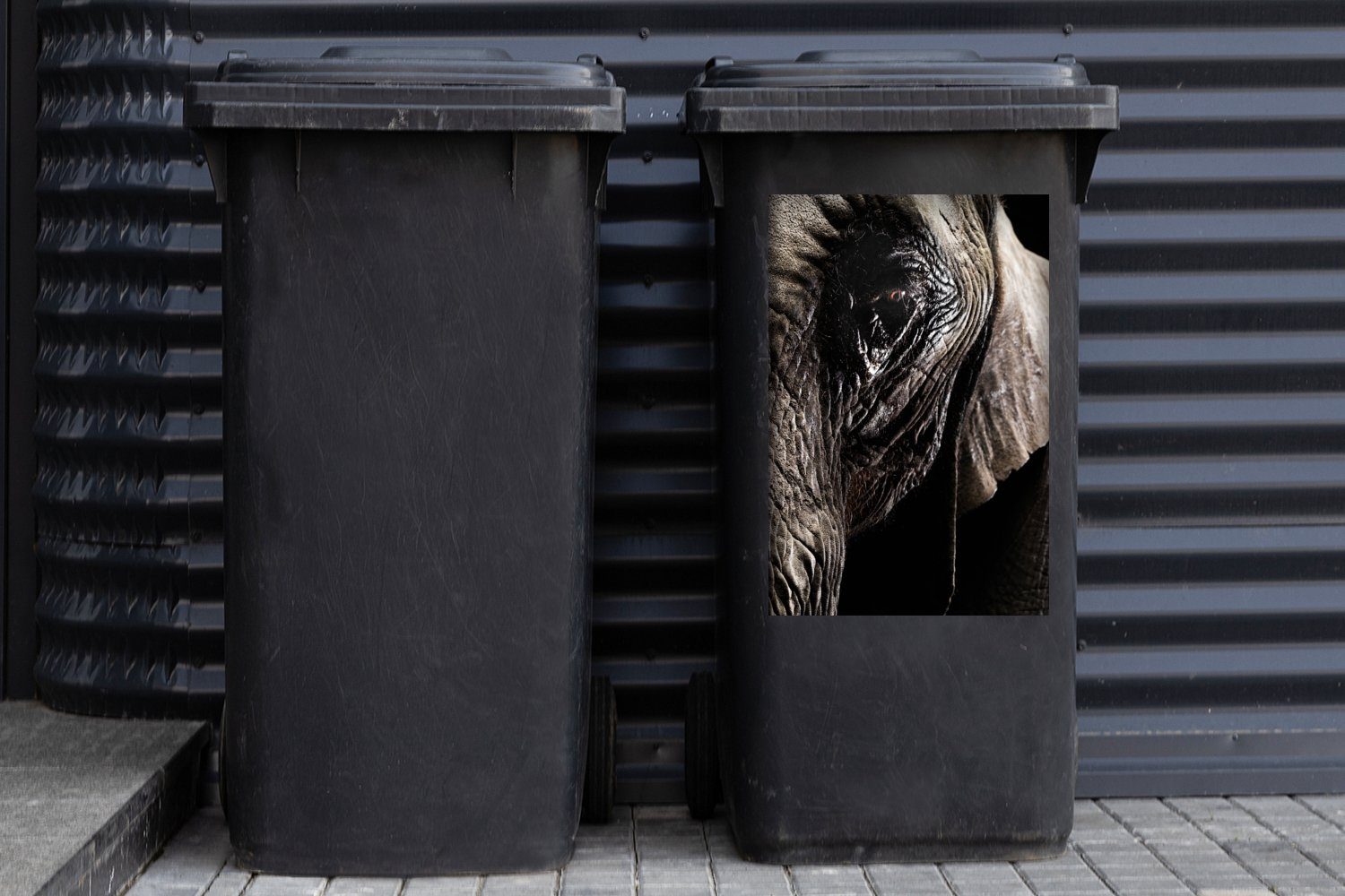St), Wandsticker Tiere Nahaufnahme Elefant Abfalbehälter Mülltonne, (1 Mülleimer-aufkleber, - - Sticker, Schwarz - MuchoWow Container,