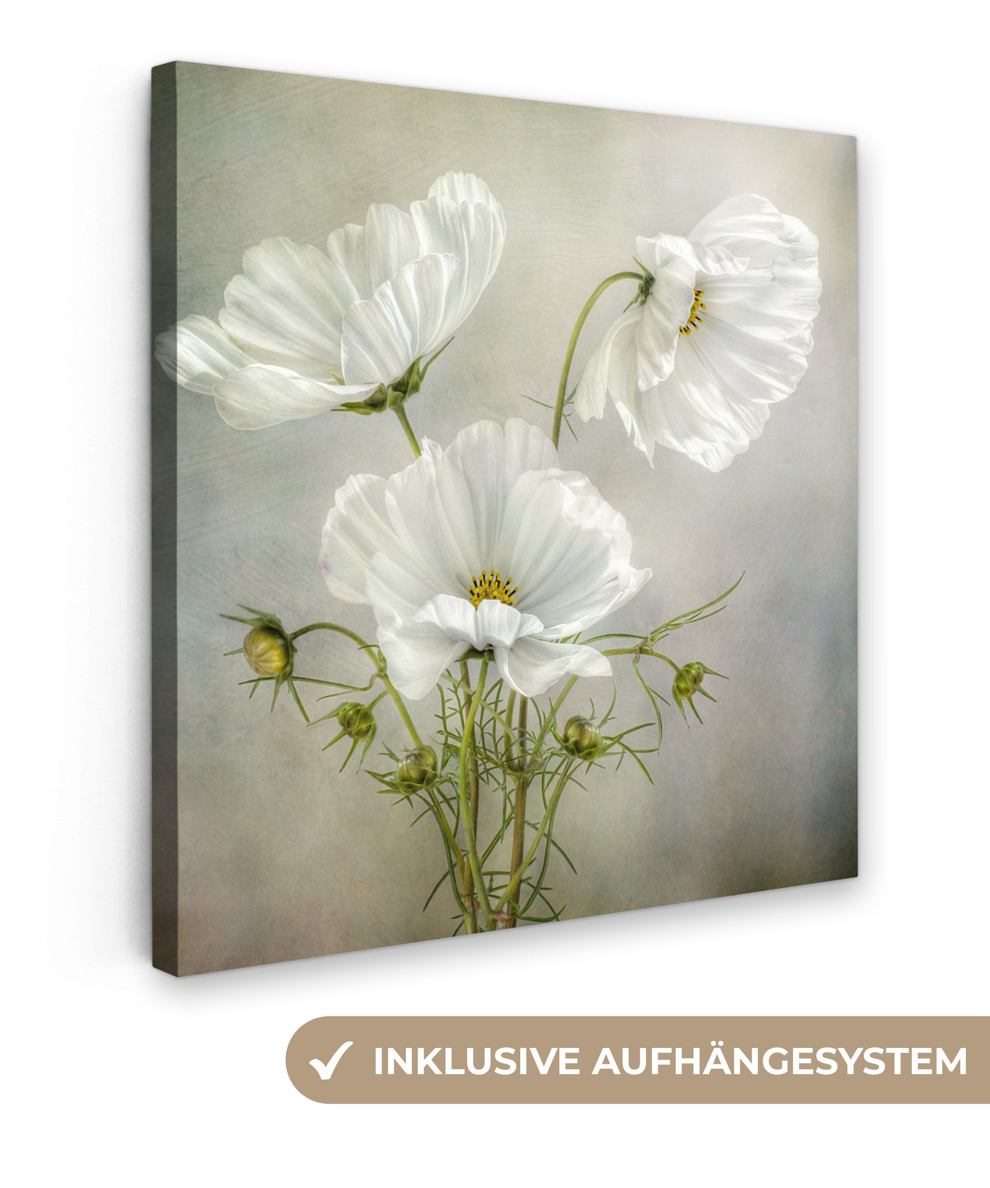 OneMillionCanvasses® Leinwandbild Blumen - Stillleben - Mohn - Weiß - Botan günstig online kaufen