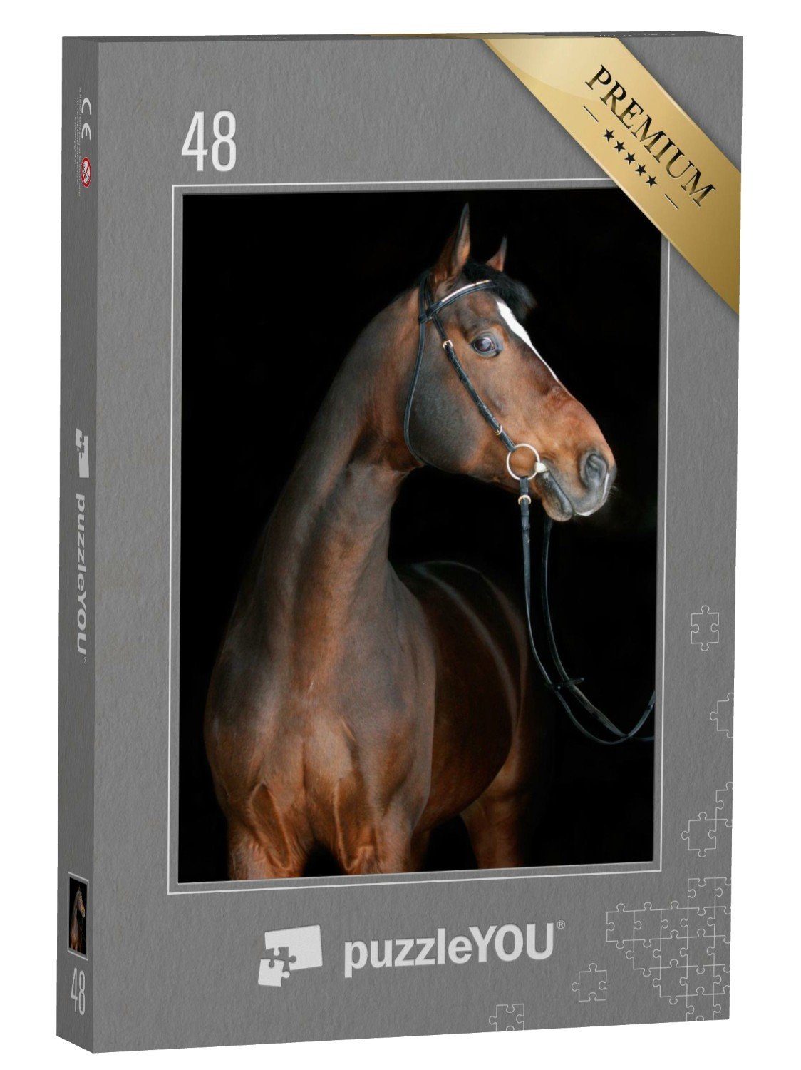 puzzleYOU Puzzle Farbspiel: Braunes Pferd auf schwarzem Hintergrund, 48 Puzzleteile, puzzleYOU-Kollektionen Pferde, Hannoveraner Pferde
