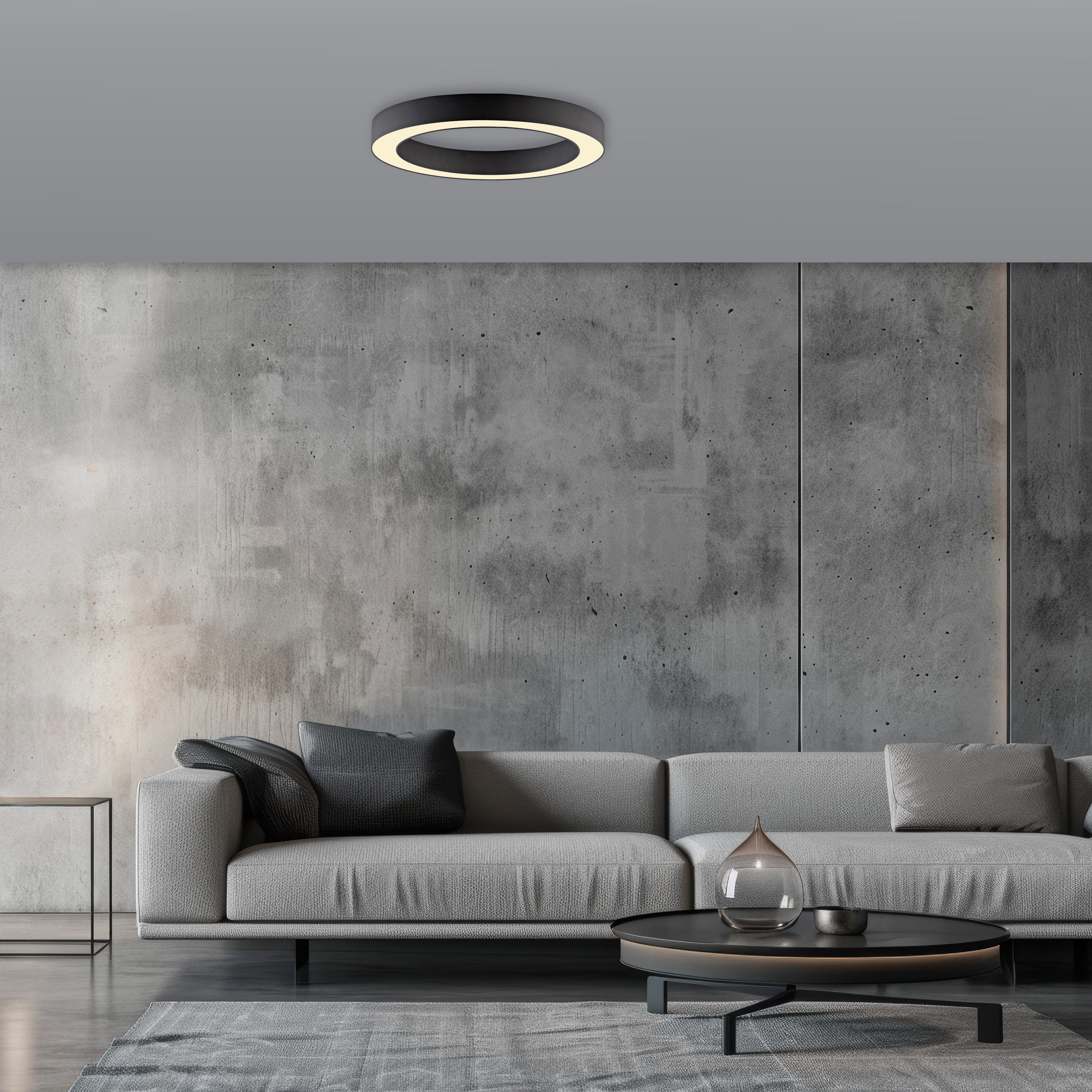 Neuhaus PURE LED Deckenleuchte PURE Lines Round, CCT - über Fernbedienung, LED fest integriert, warmweiß - kaltweiß, Stufenlos dimmbar über Fernbedienung, CCT