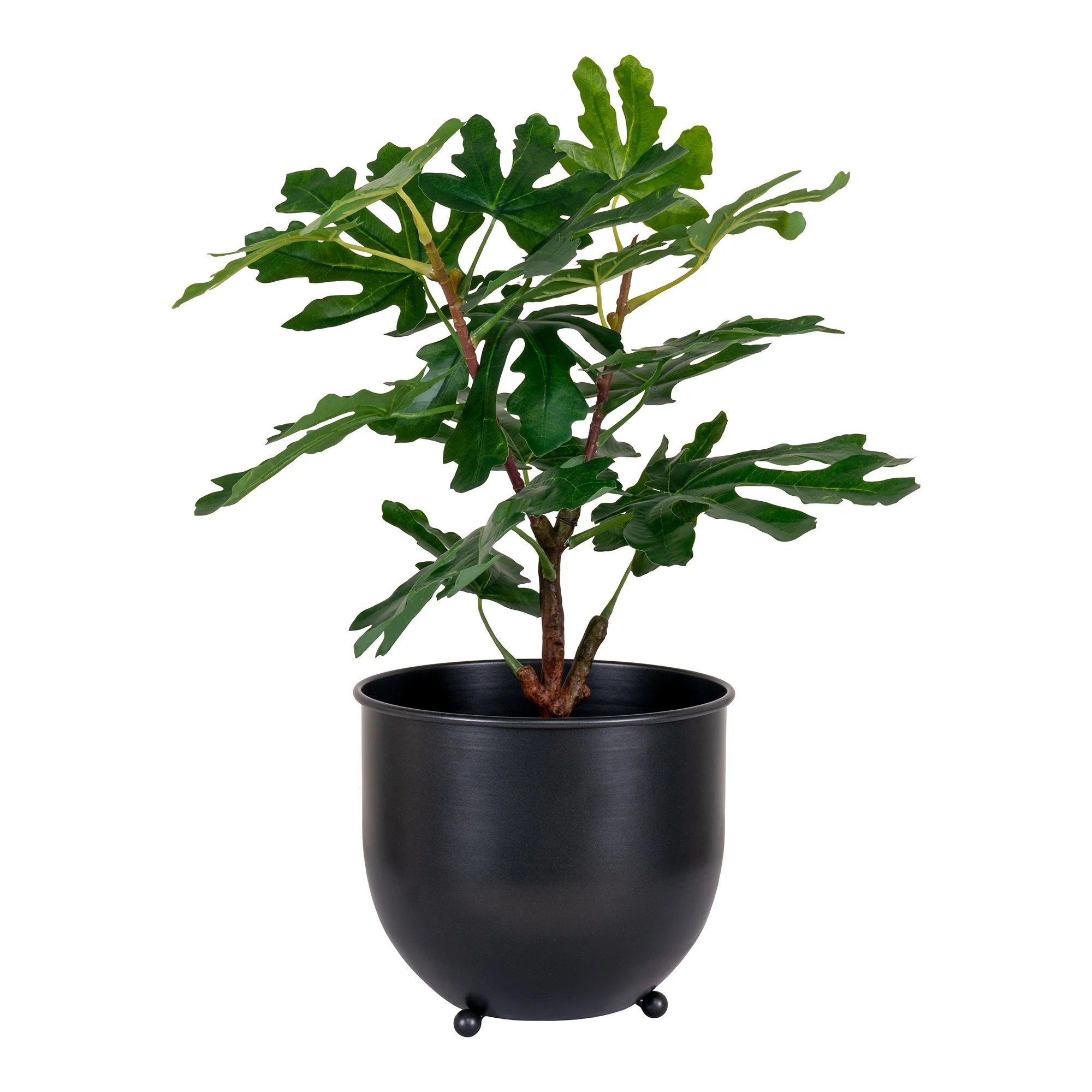 Kunstpflanze Künstliche H50cm Pflanze FEIGENBAUM LebensWohnArt Ficus, Feige ca