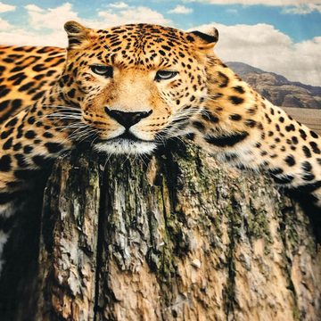 Bettwäsche Leopard Fels, ESPiCO, Renforcé, 2 teilig, Wildtier, Afrika, Safari