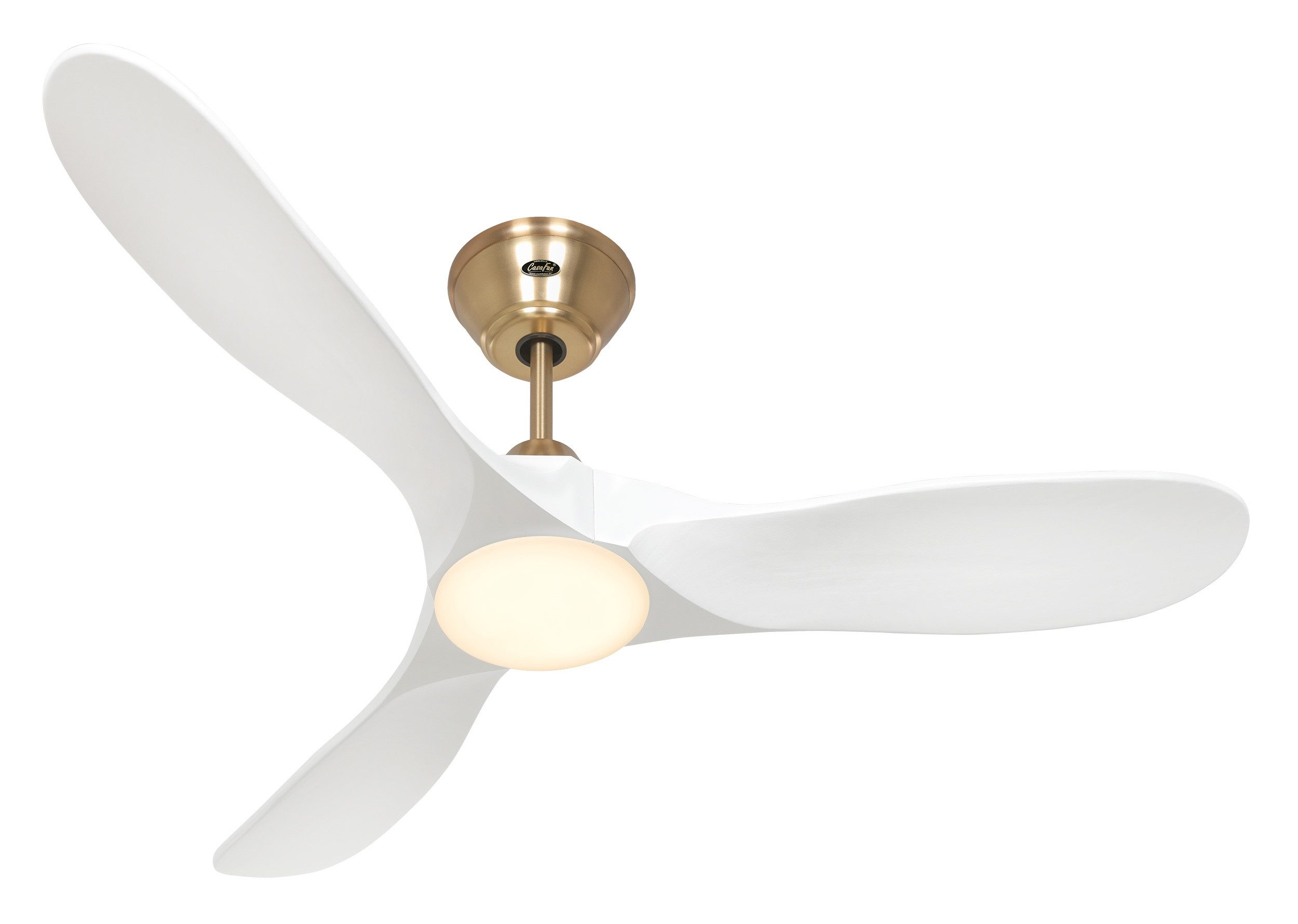 CasaFan Deckenventilator DC Deckenventilator Eco Genuino MG-MW 122 mit LED, dimmbar