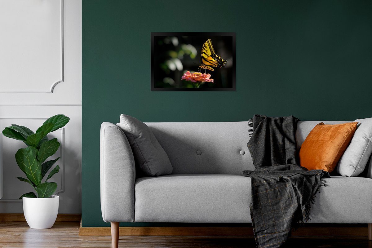 Schwarzem Gerahmtes Schmetterling Blume, Wanddeko, - - Poster, (1 Bilderrahmen MuchoWow Wandposter, Bilder, Botanisch St), Poster