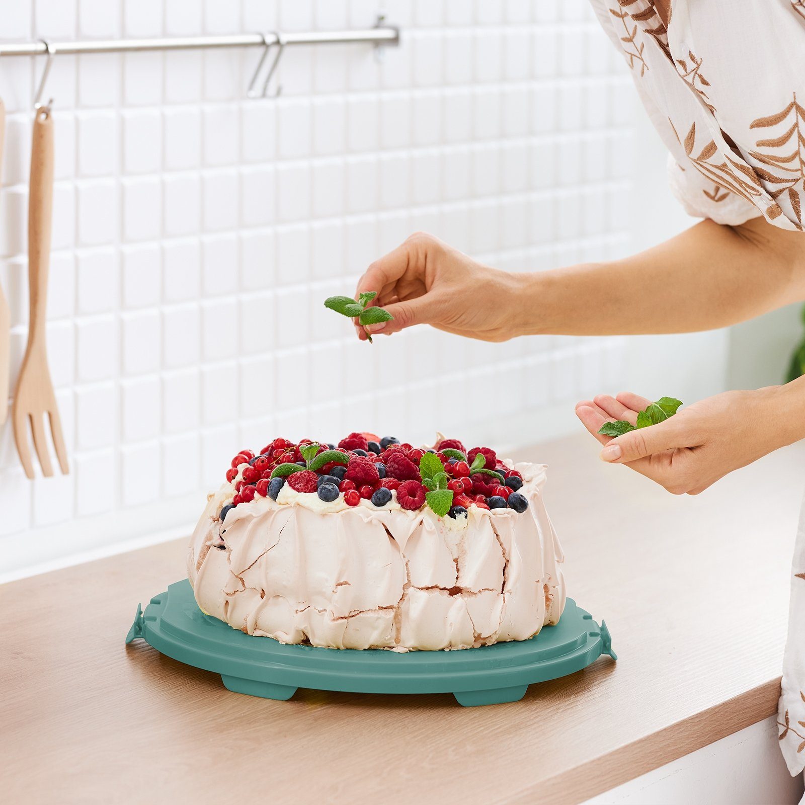 ROTHO Aufbewahrungssystem FRESH Kuchentransportbox XL, Kunststoff, Hergestellt in der Schweiz