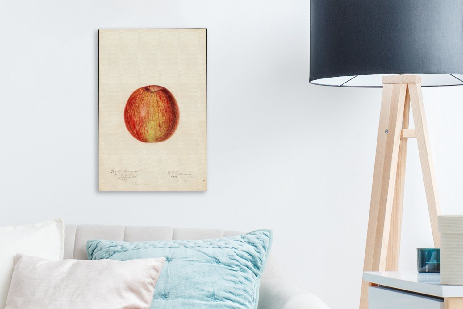 OneMillionCanvasses® Leinwandbild Apfel - 20x30 bespannt Gemälde cm Passmore, (1 Deborah Leinwandbild inkl. Griscom Gemälde, St), Zackenaufhänger, fertig von