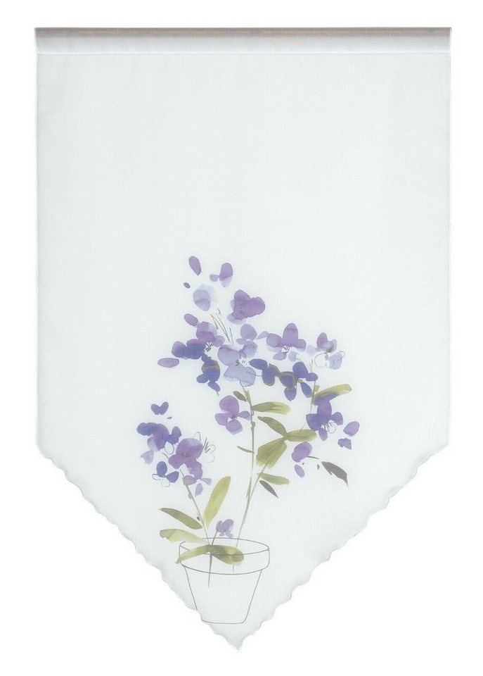 Scheibengardine Design Kuvert, weiß, Blume lila, BxH 60x90cm, 4052-01,  Clever-Kauf-24, Stangendurchzug (1 St), transparent
