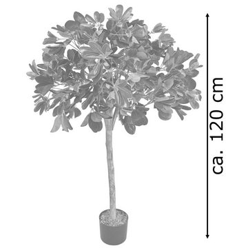 Kunstbaum Schefflera Arboricola Aralie Kunstpflanze Künstliche Pflanze 120 cm, Decovego