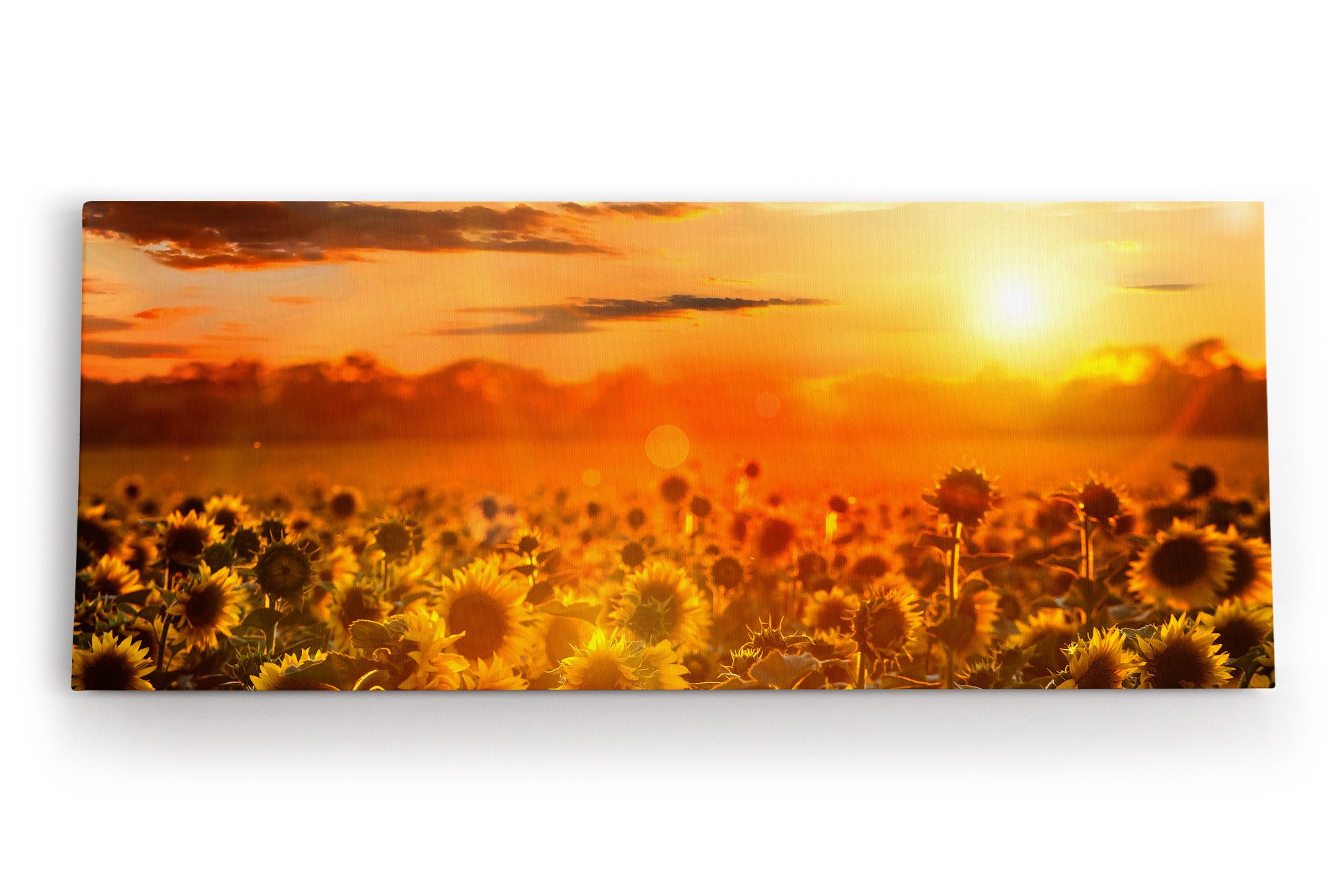 Leinwandbild Sonnenblumen Blumenfeld Sonnenblumenfeld Sonne Gelb