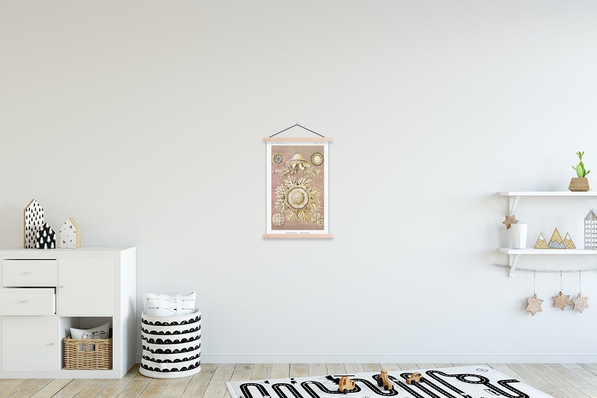 MuchoWow Poster Jahrgang - Ernst Haeckel - Qualle - Kunst, (1 St), Posterleiste, Textilposter für Wohnzimmer, Bilderleiste, Magnetisch braun | braun