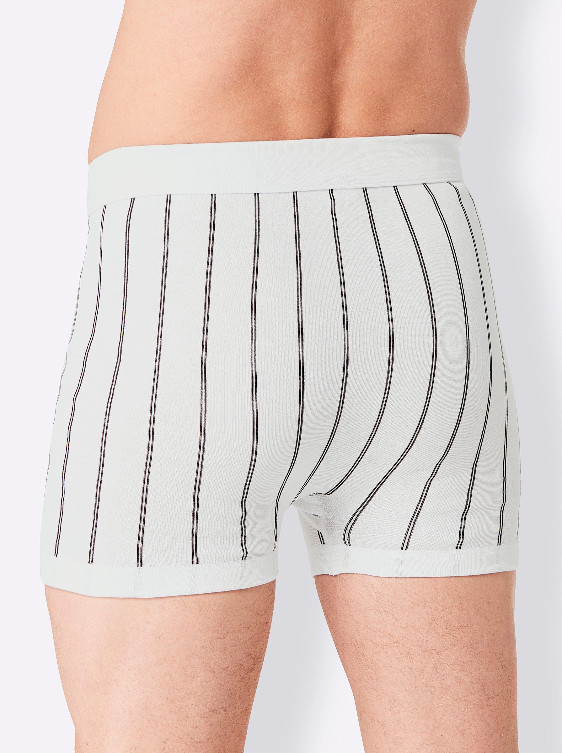 Witt Schlüpfer Hose kurz (2-St)