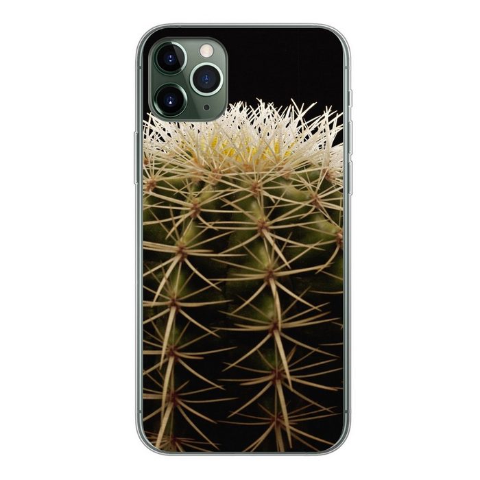 MuchoWow Handyhülle Eine Nahaufnahme eines dornigen Kaktus auf schwarzem Hintergrund Handyhülle Apple iPhone 11 Pro Max Smartphone-Bumper Print Handy